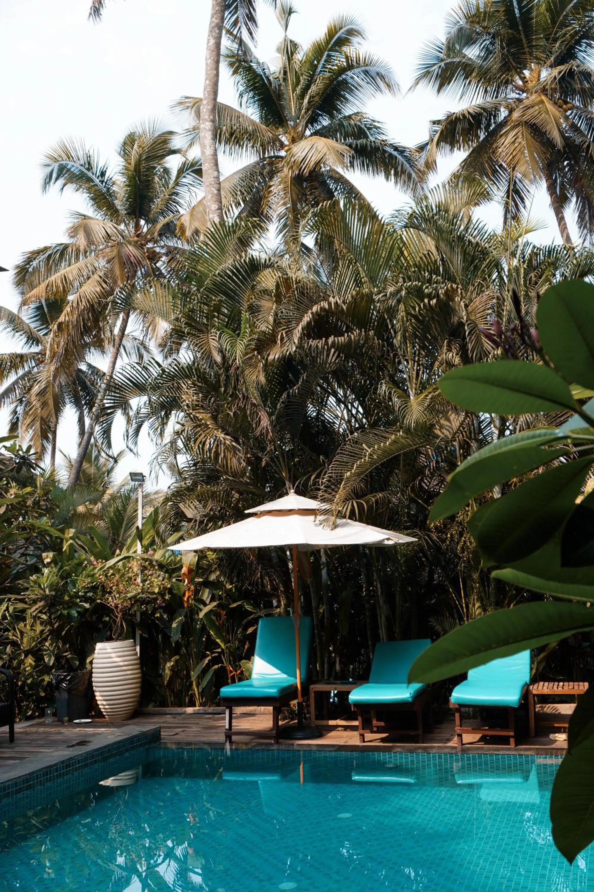 Swimming pool in Riva Beach Resort