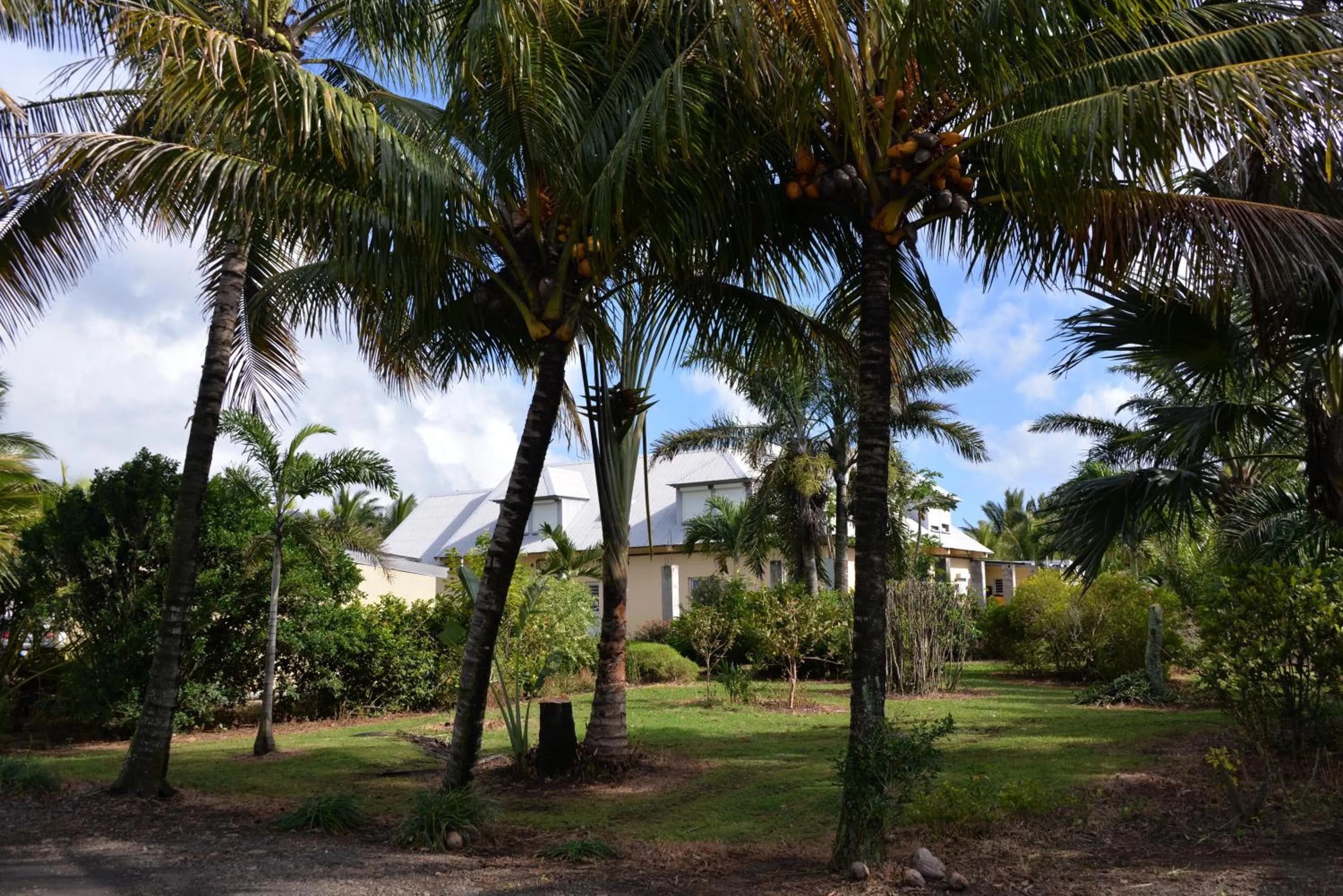 Domaine des Oiseaux Réunion