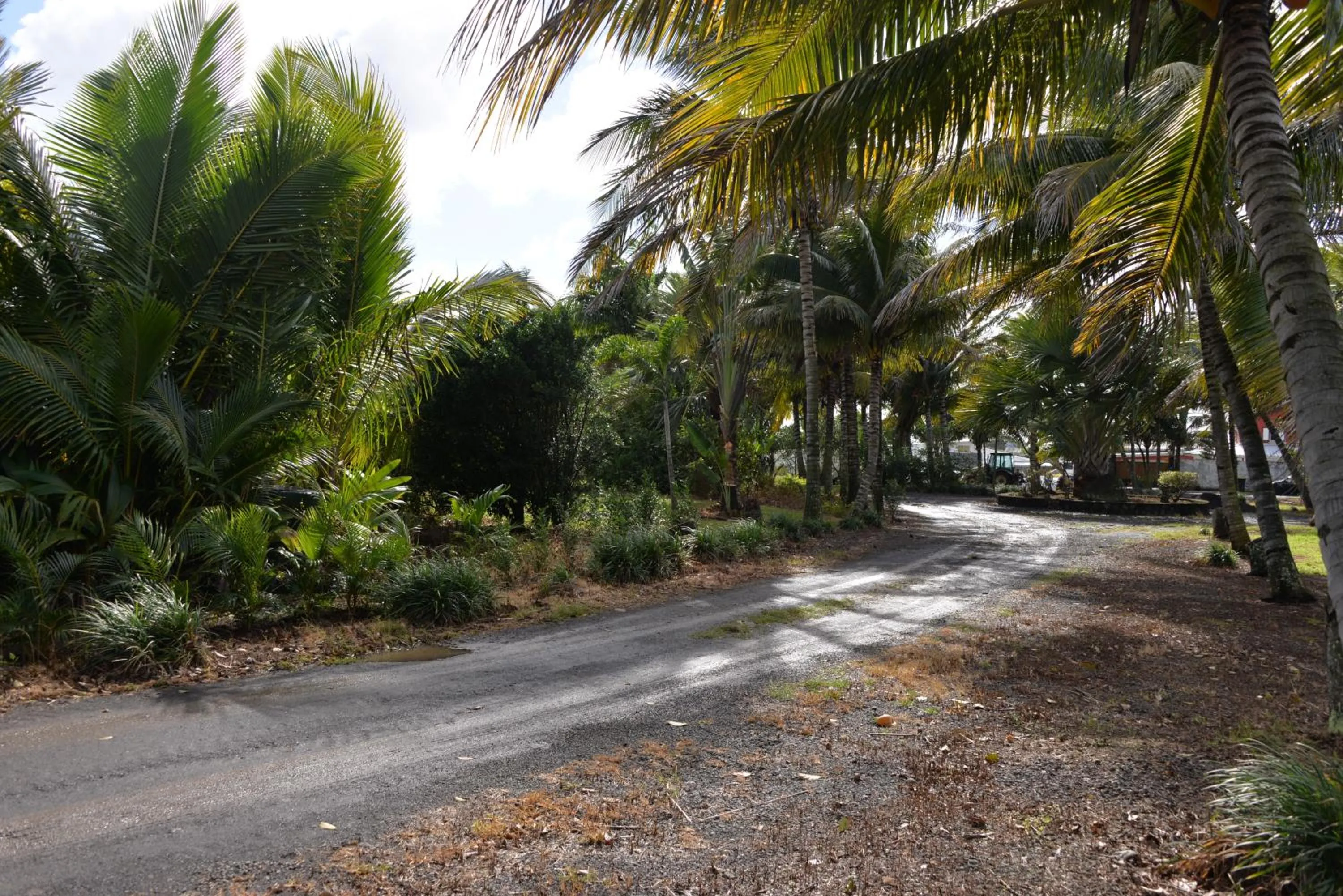 Domaine des Oiseaux Réunion