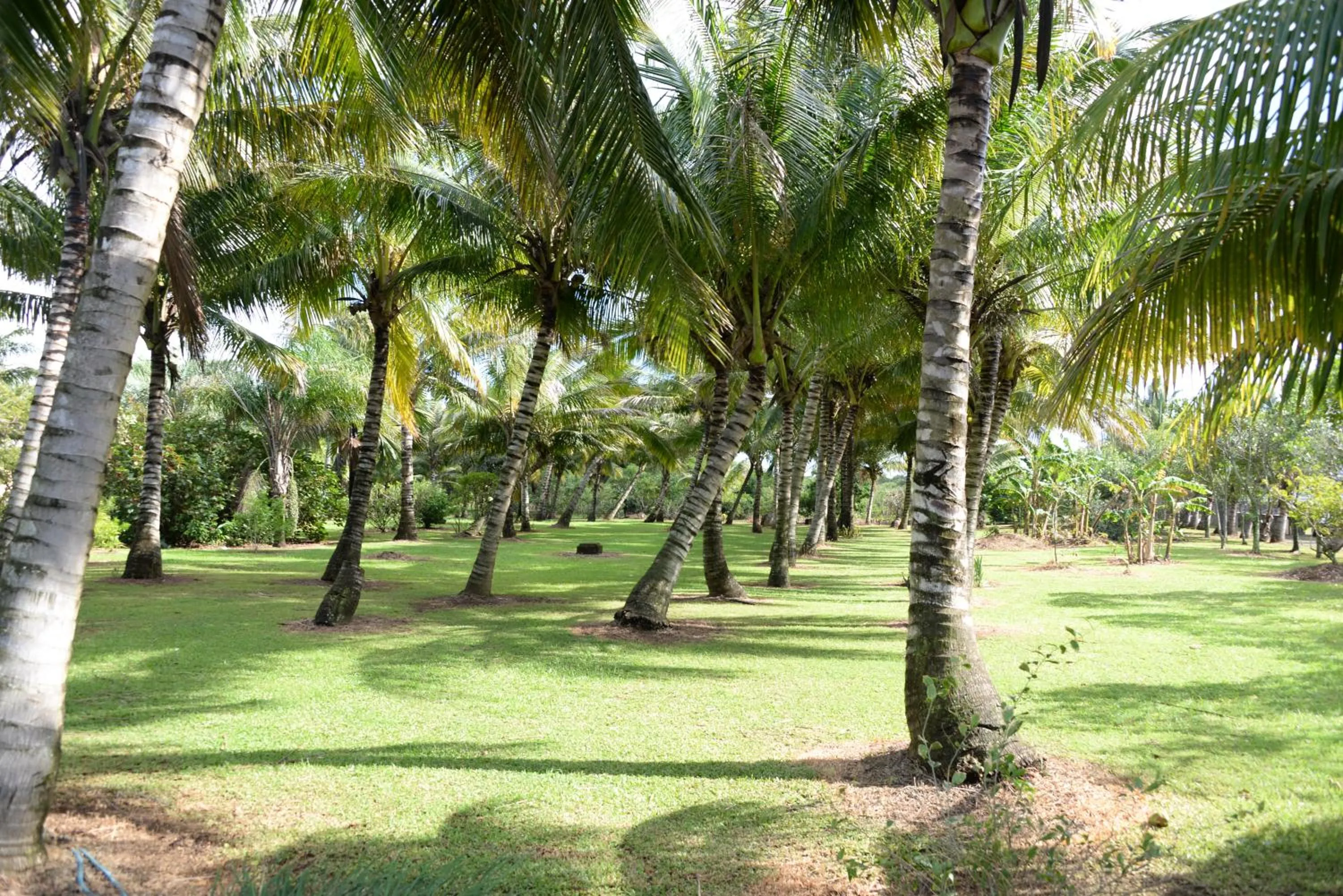 Domaine des Oiseaux Réunion