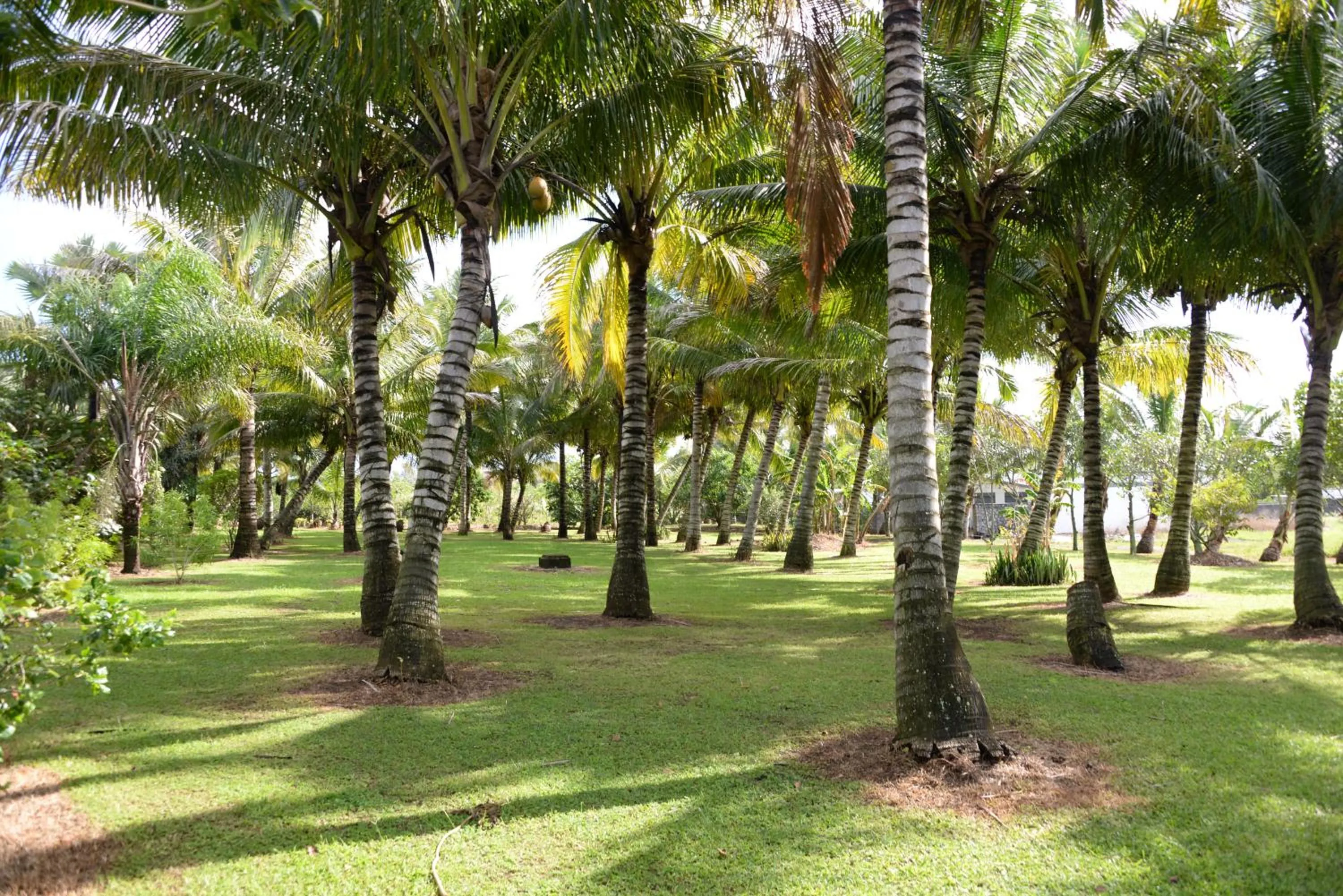 Domaine des Oiseaux Réunion