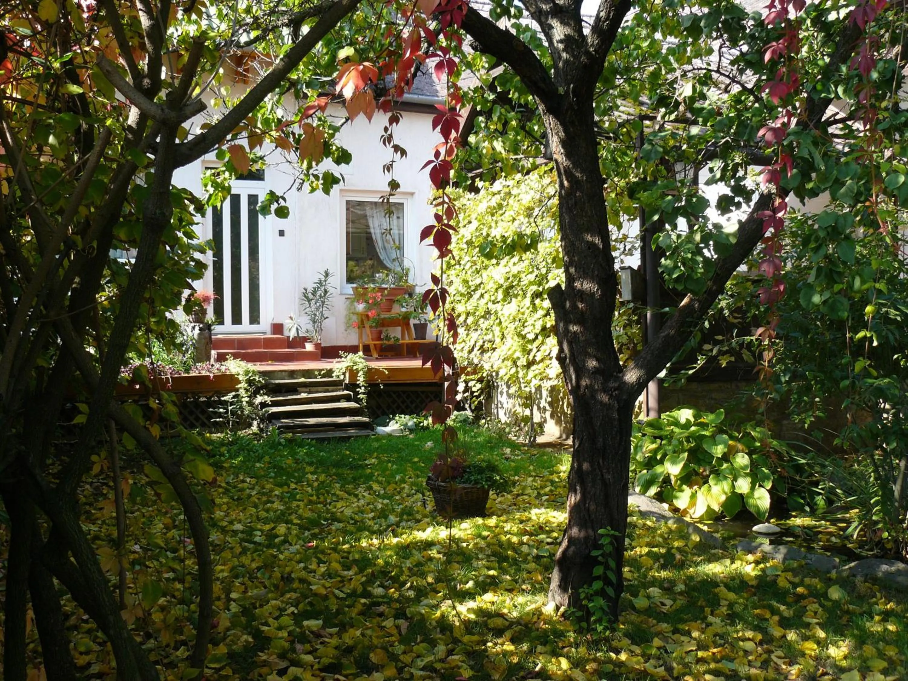 Garden in Angéla Vendegház