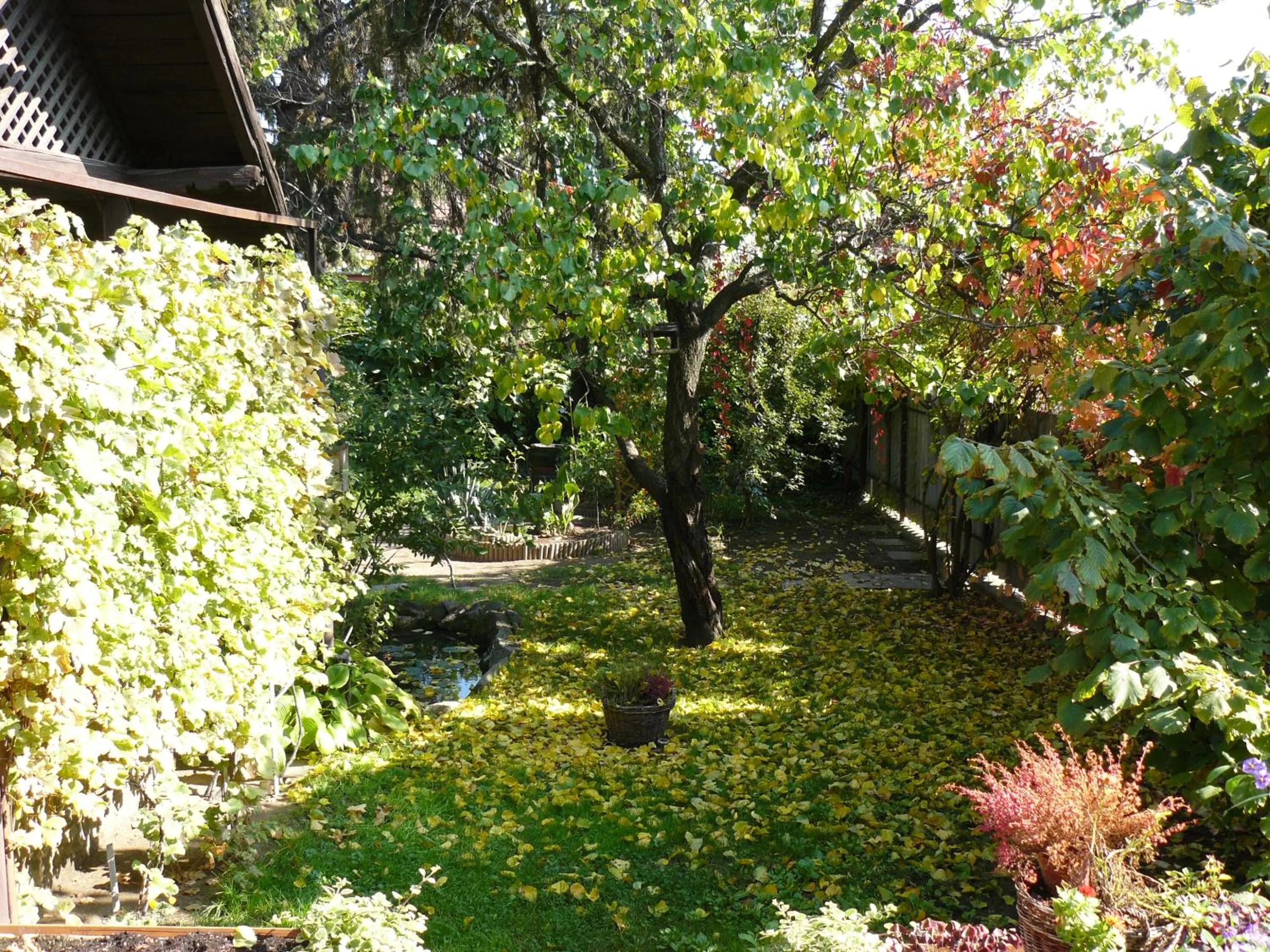Autumn in Angéla Vendegház