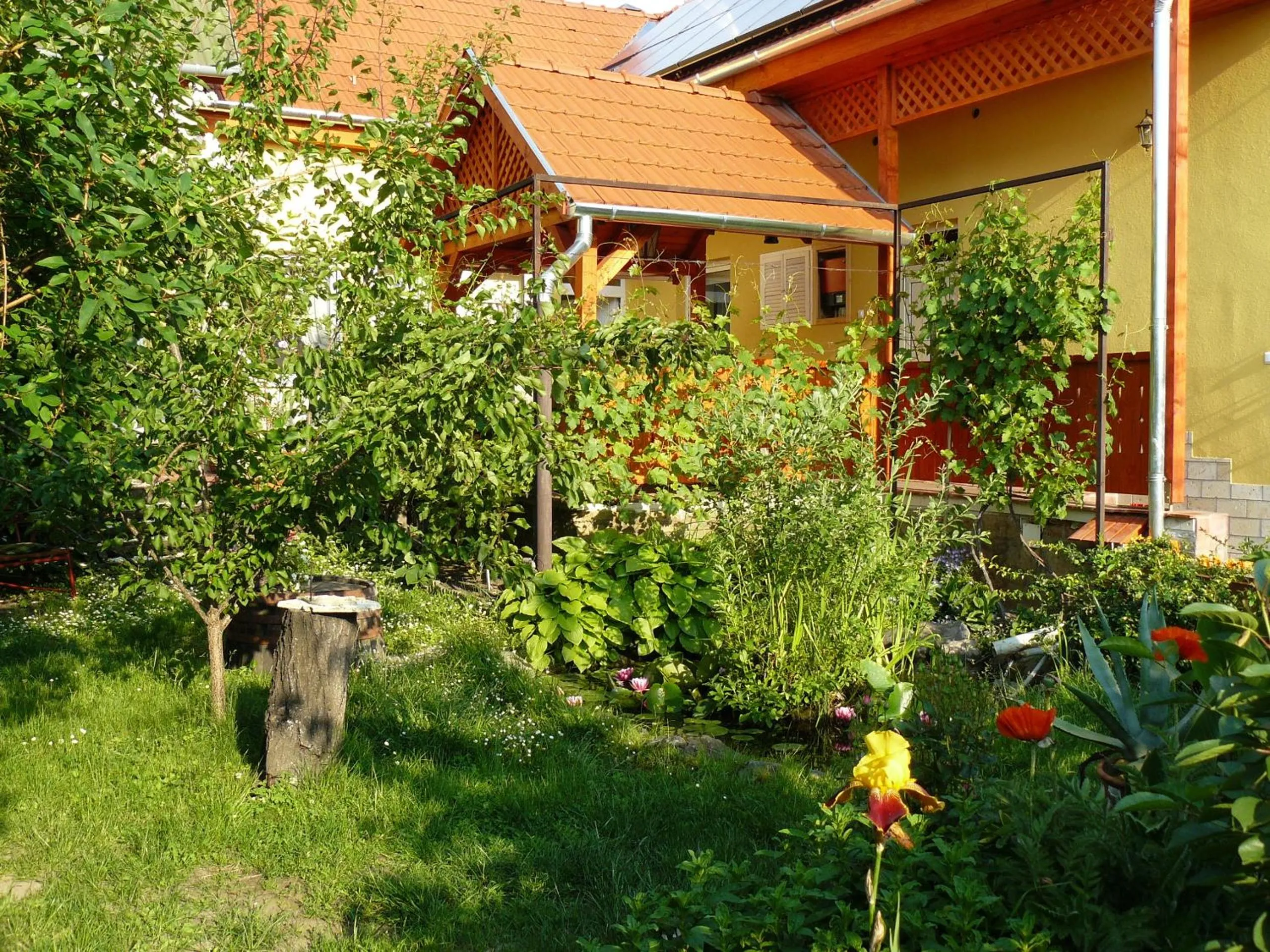 Garden view in Angéla Vendegház