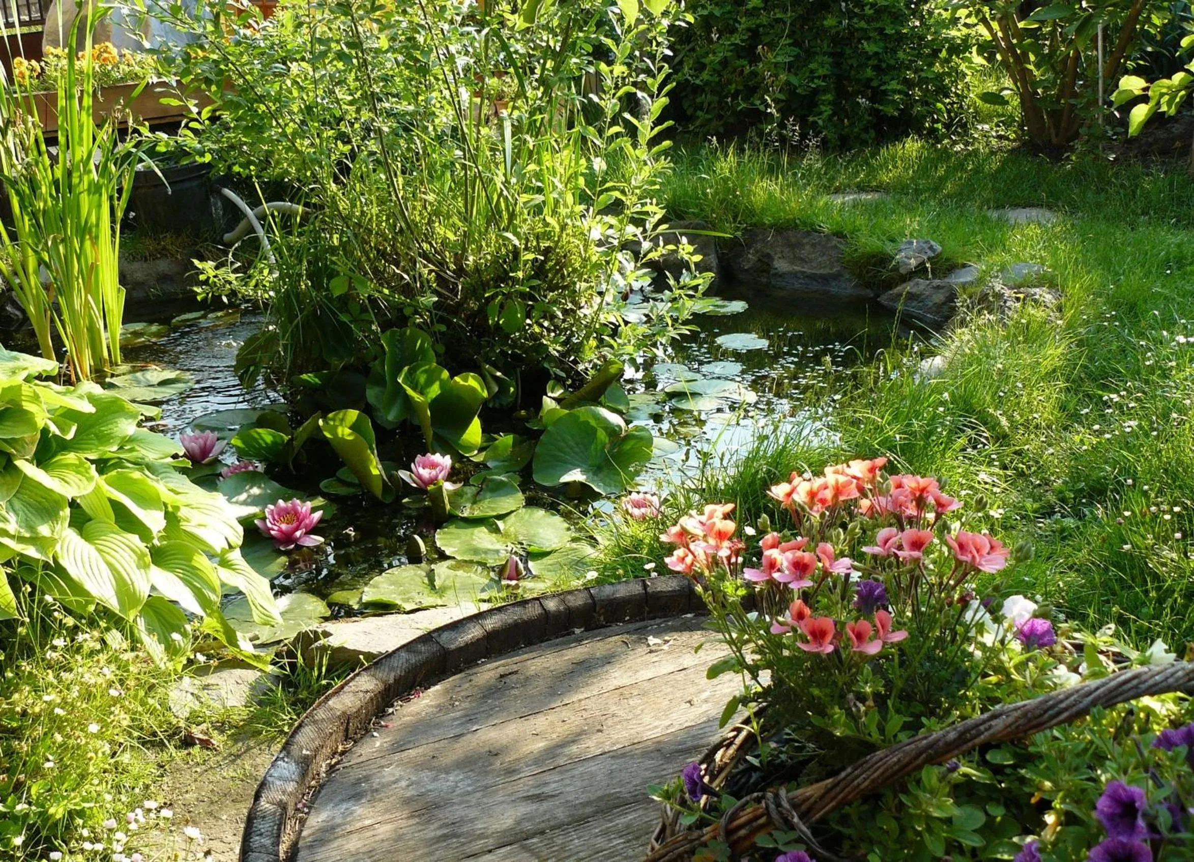 Garden in Angéla Vendegház