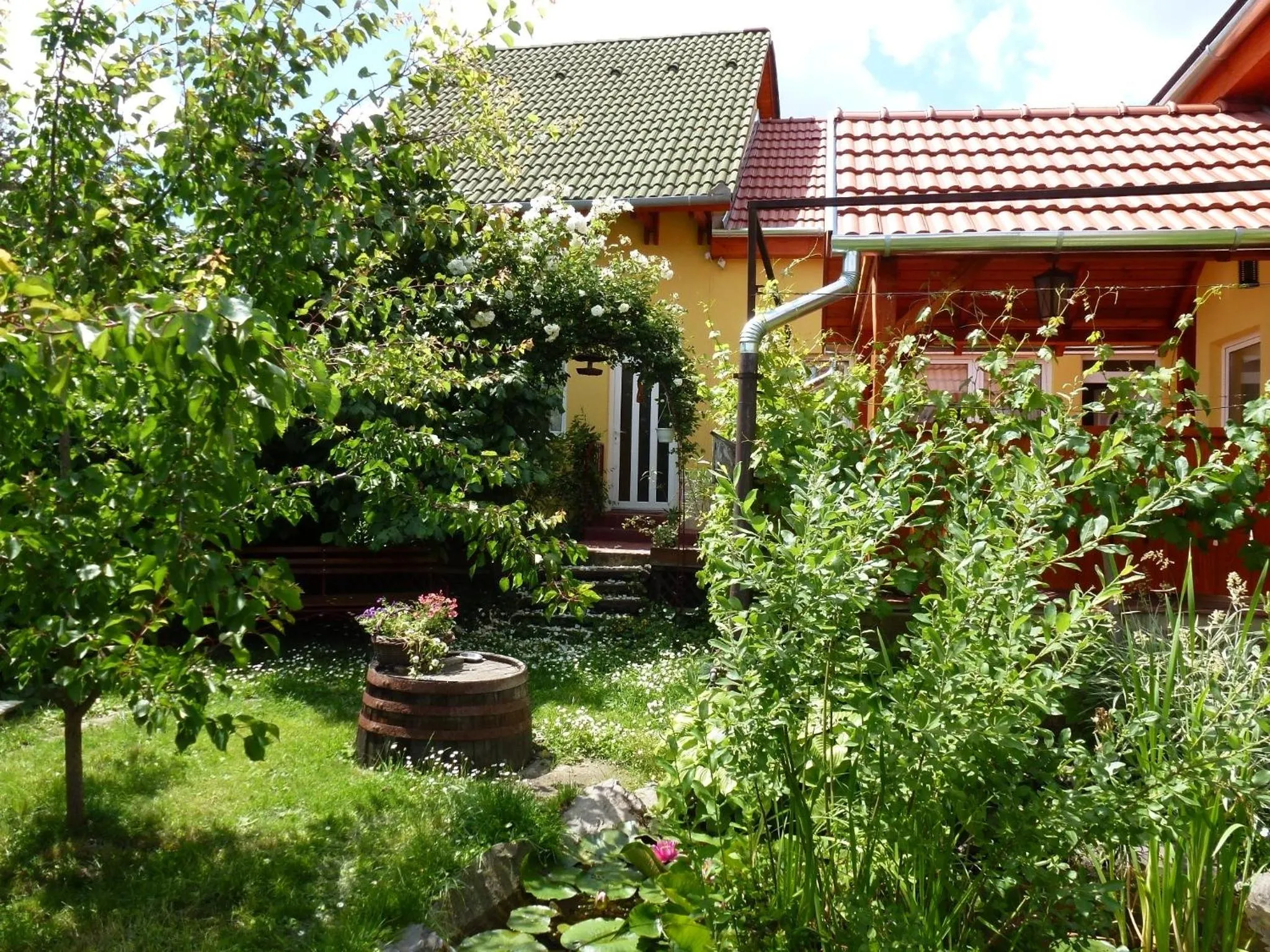 Garden in Angéla Vendegház