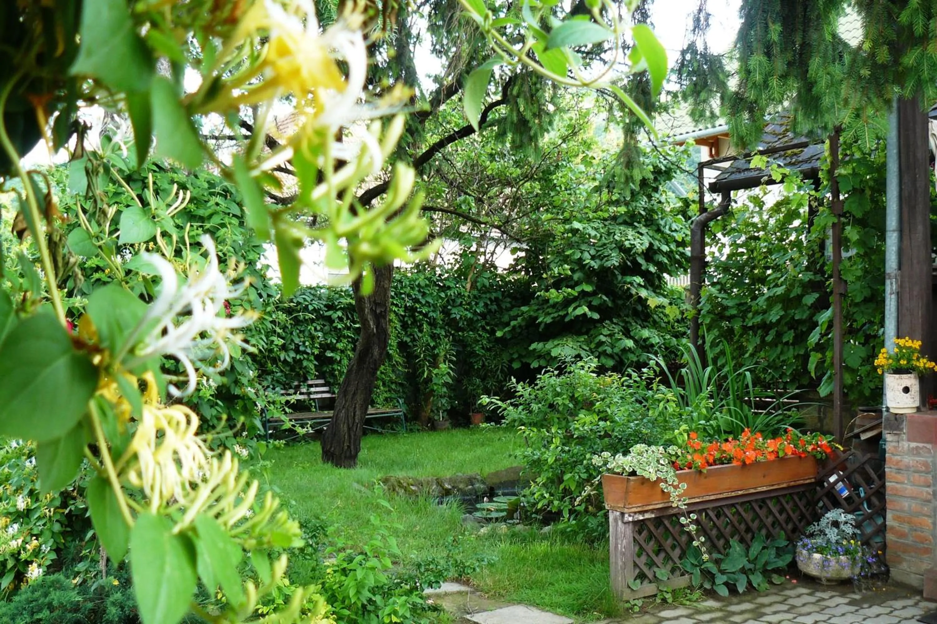 Garden in Angéla Vendegház