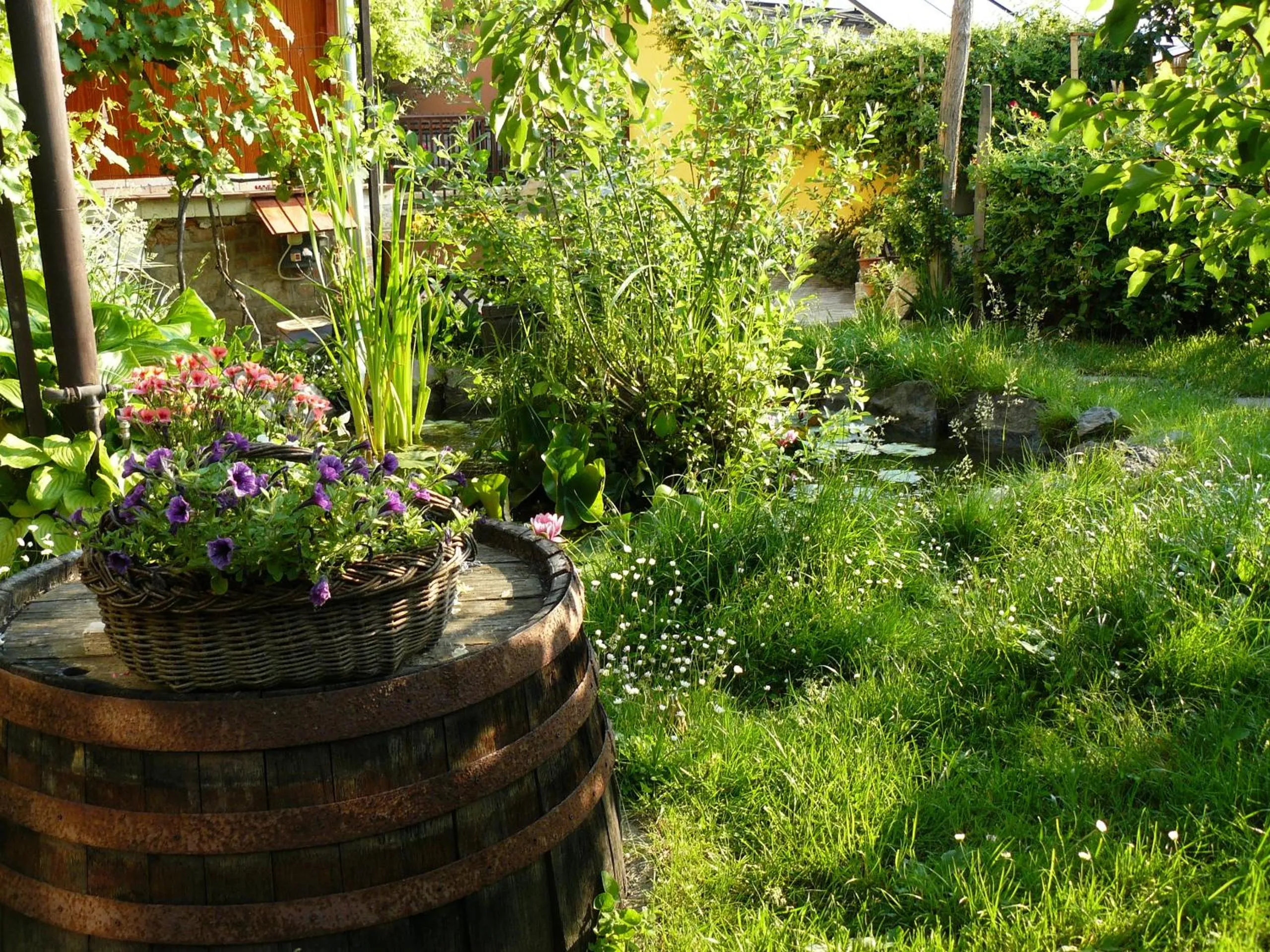 Garden in Angéla Vendegház