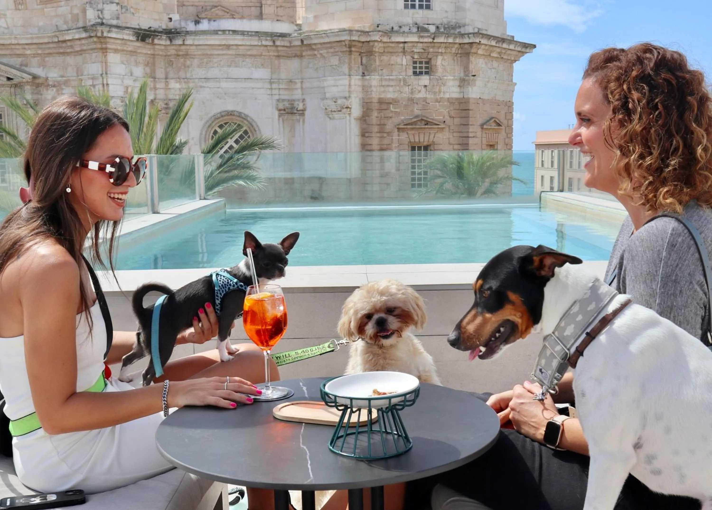 Pets in Boutique Hotel OLOM - Only Adults recommended