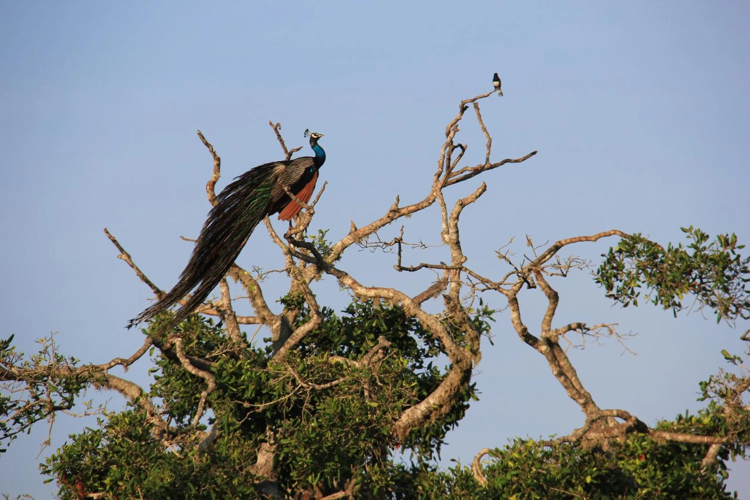 Day in Flower Garden Lake Resort