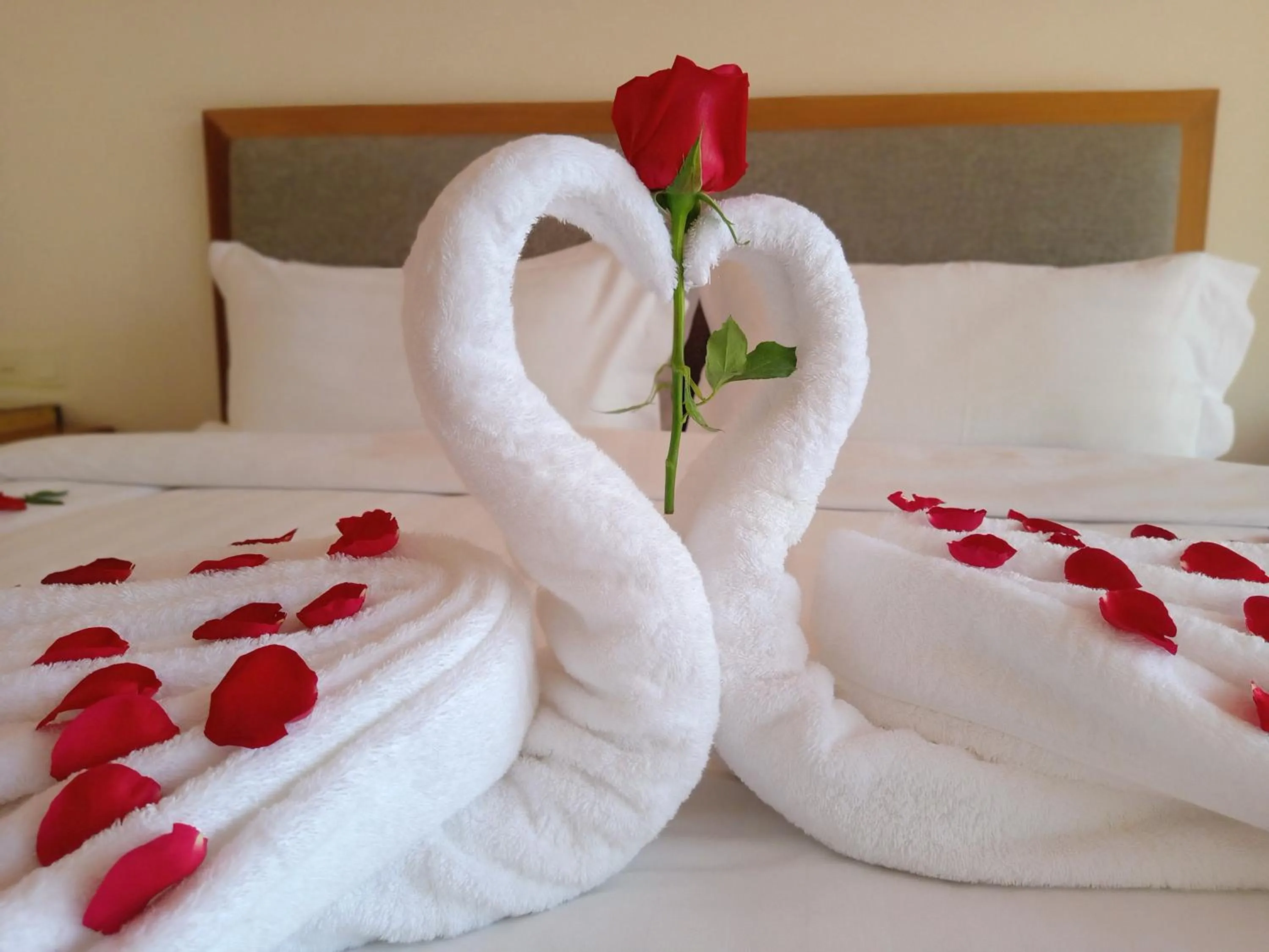 Bed in Dragon Phoenix Hotel