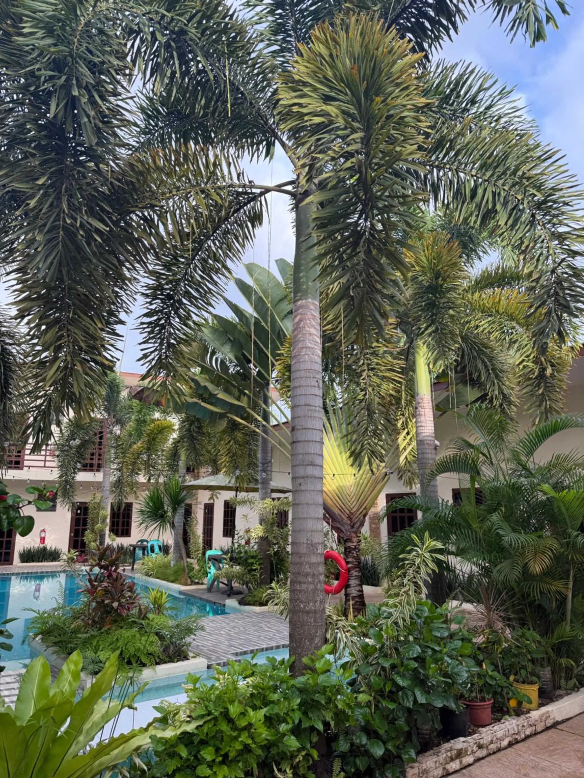 Garden view in Softstone resort