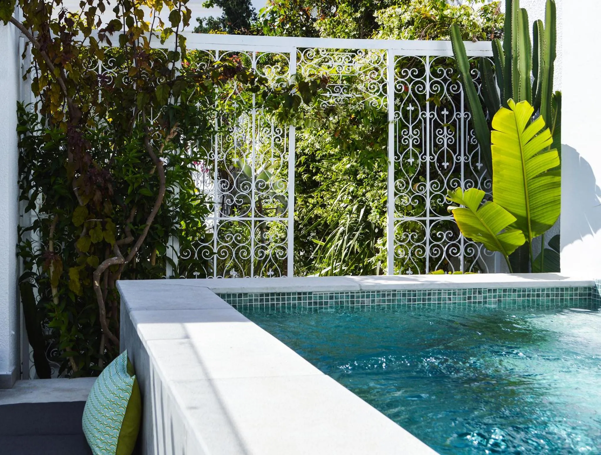 Swimming pool in VILLA EDO
