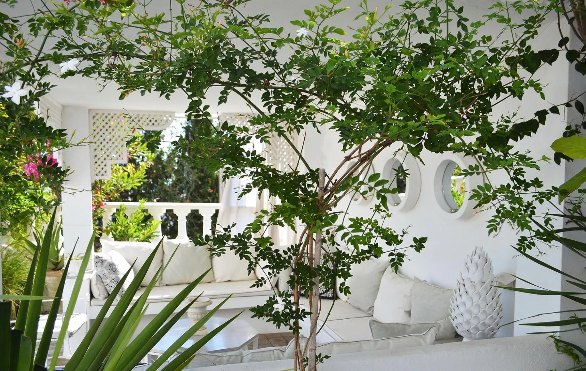 Garden in VILLA EDO