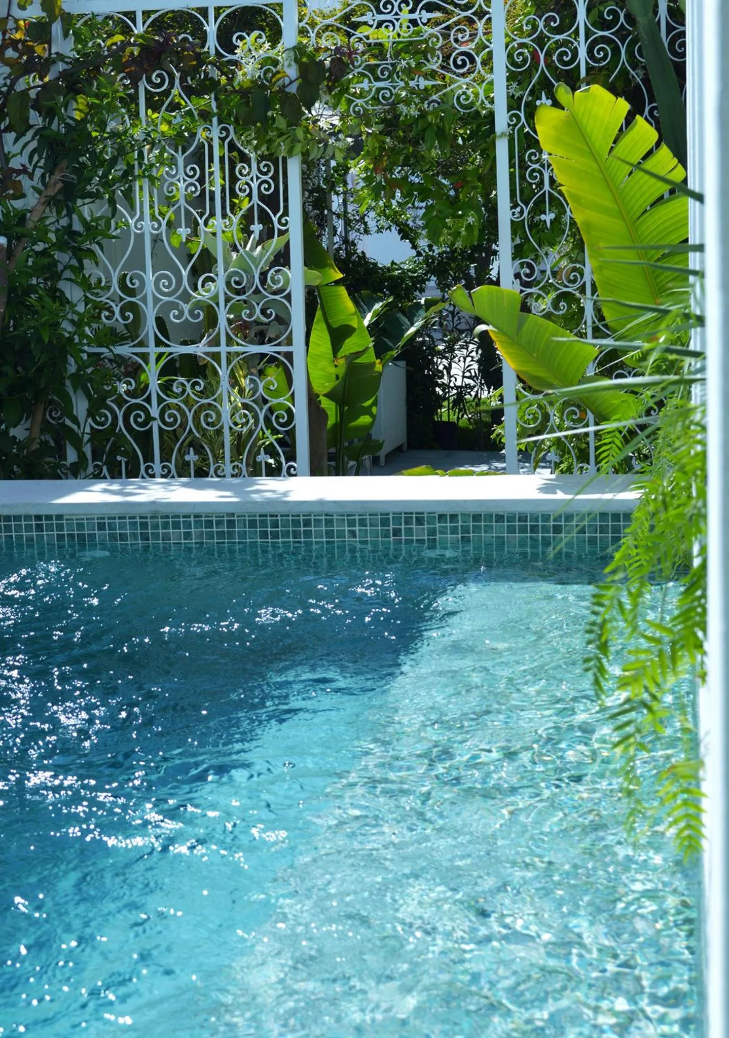Swimming pool in VILLA EDO