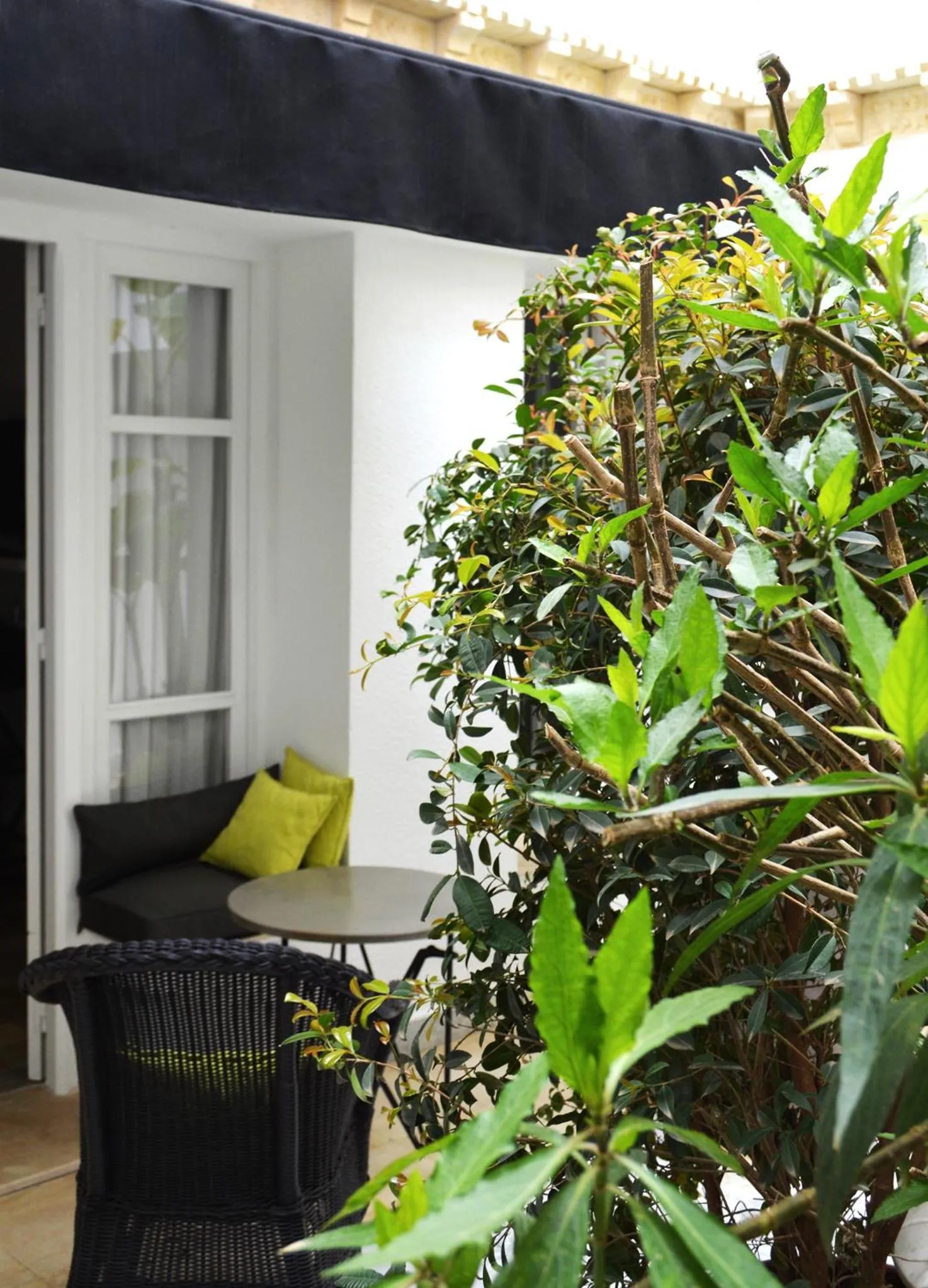 Patio in VILLA EDO