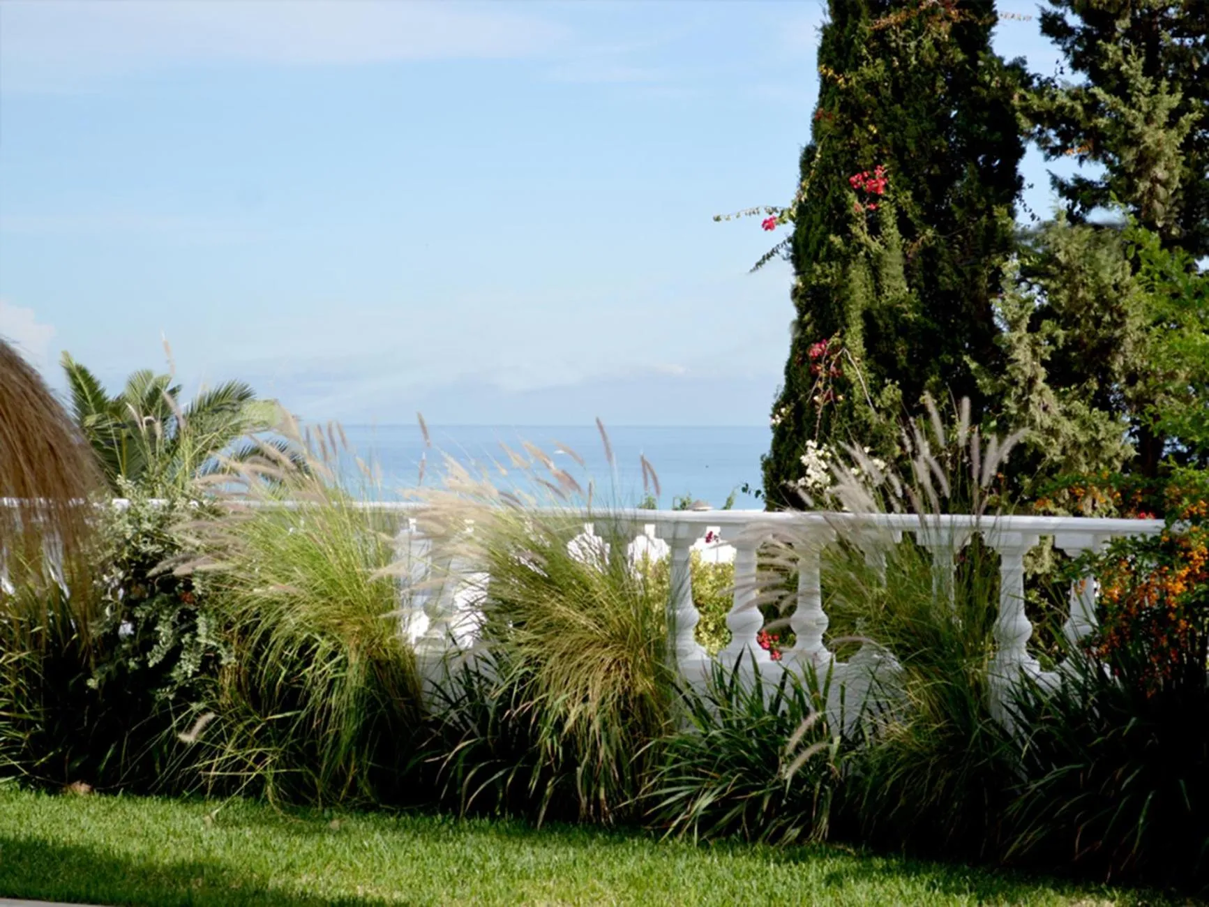 Garden in VILLA EDO