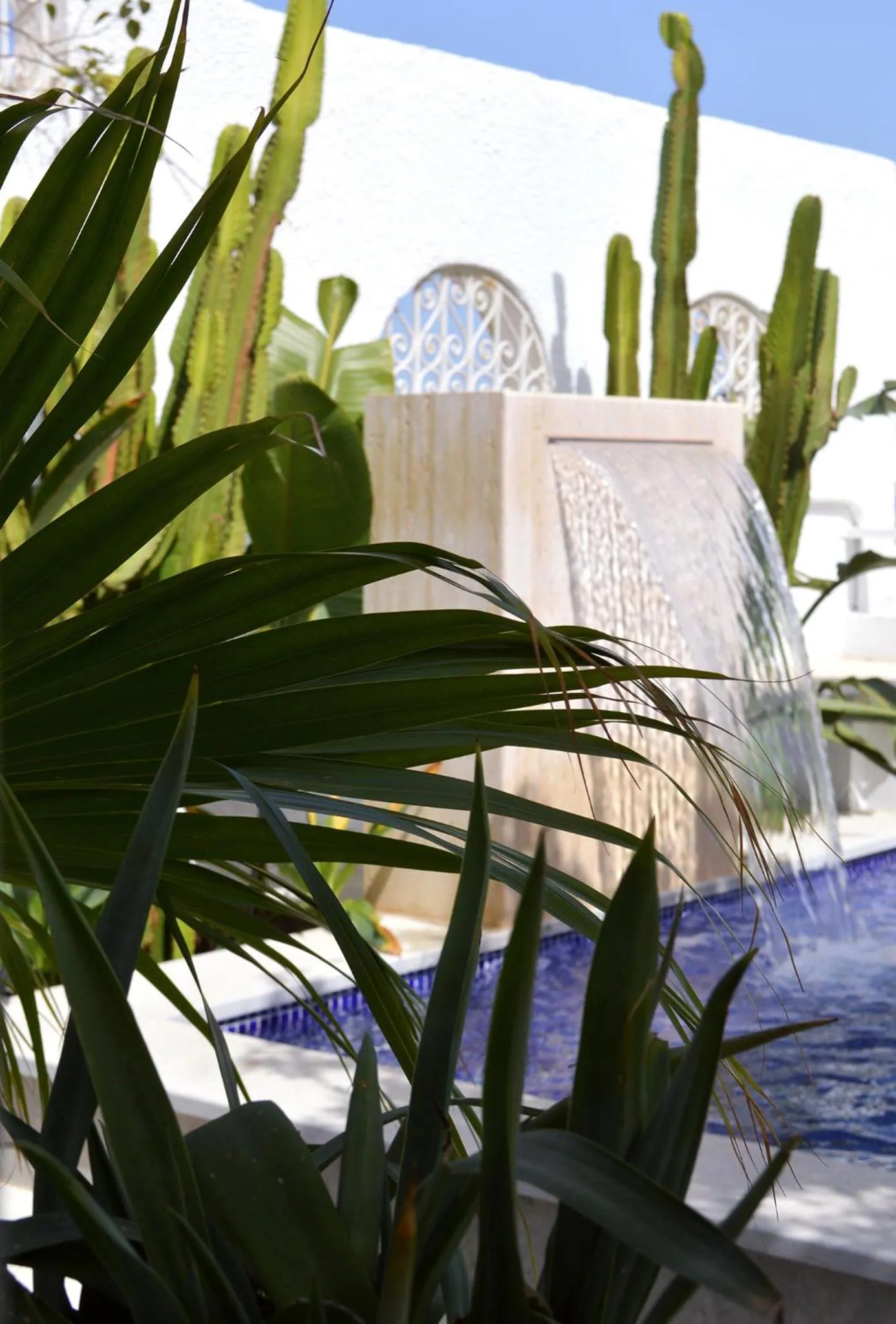 Pool view in VILLA EDO