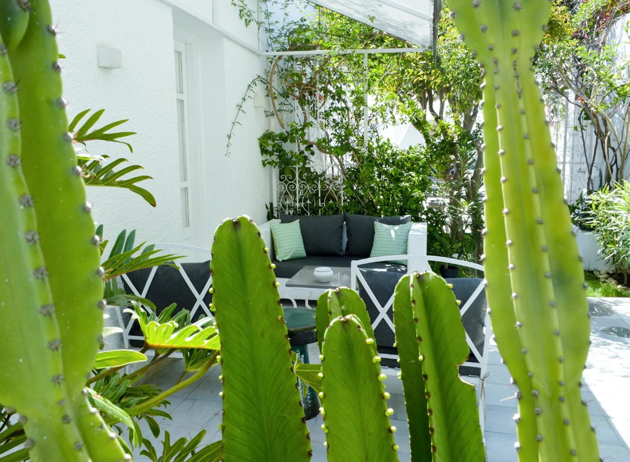 Balcony/Terrace in VILLA EDO