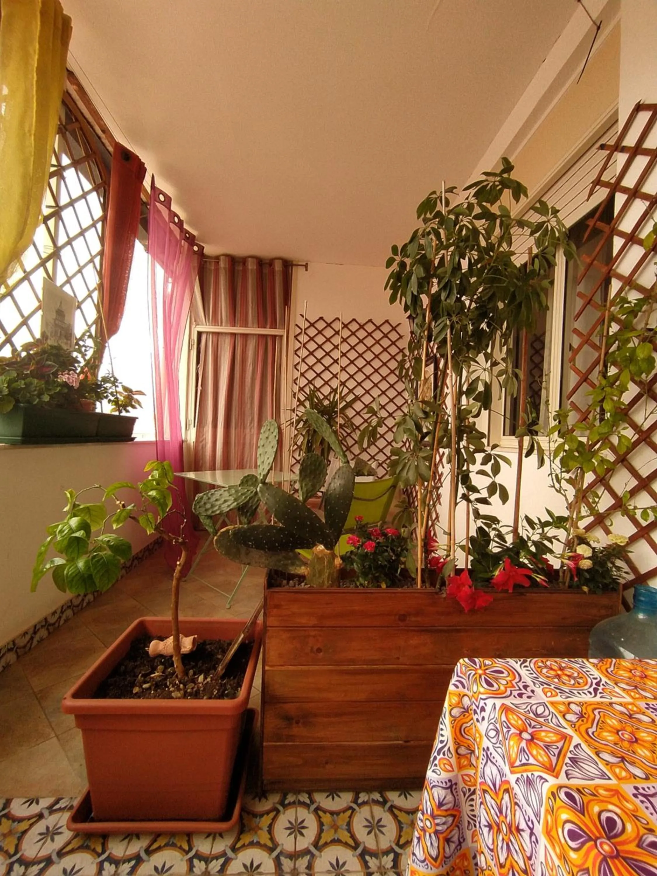 Balcony/Terrace in B&b Ballarattik