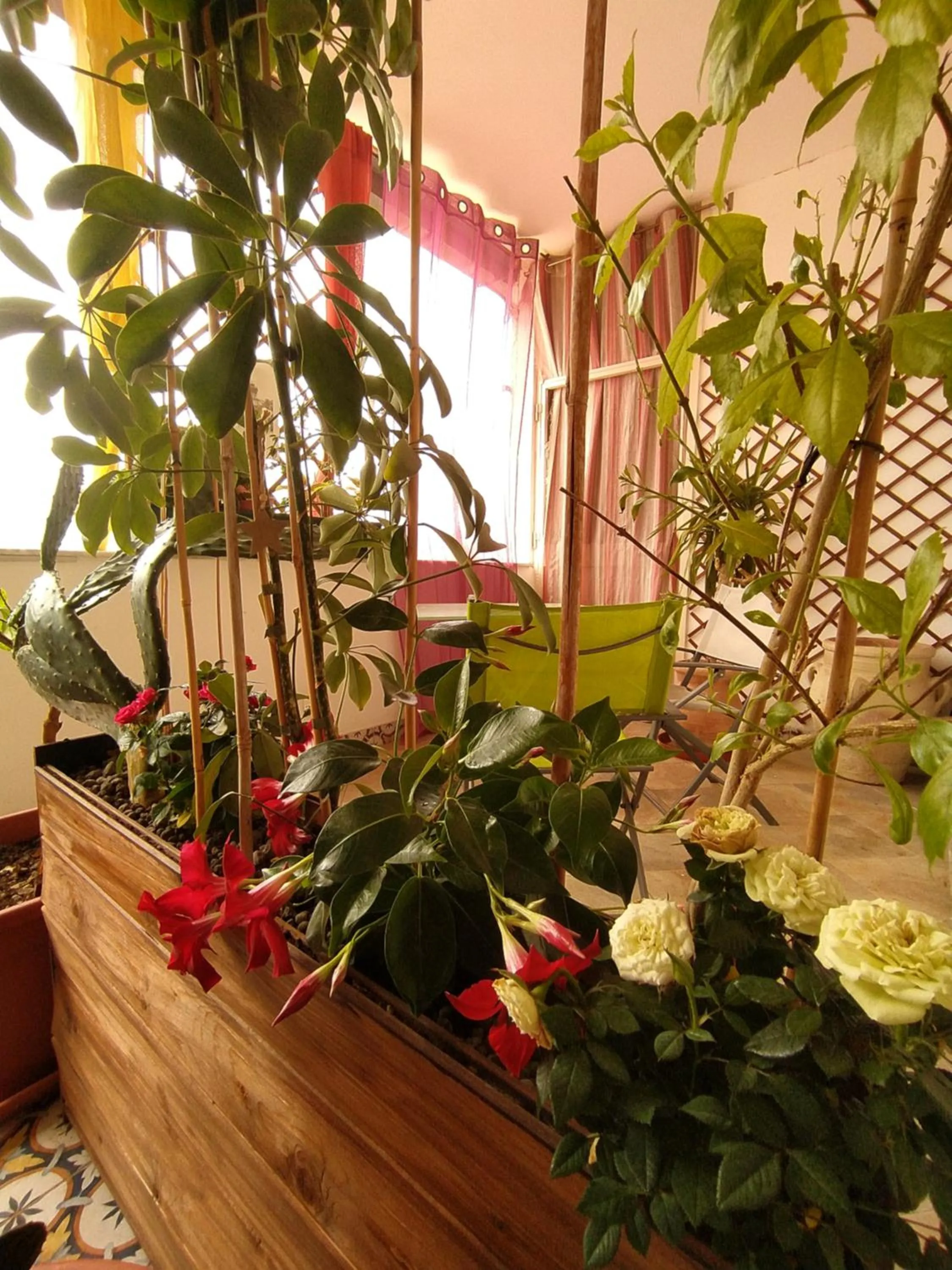 Summer in B&b Ballarattik