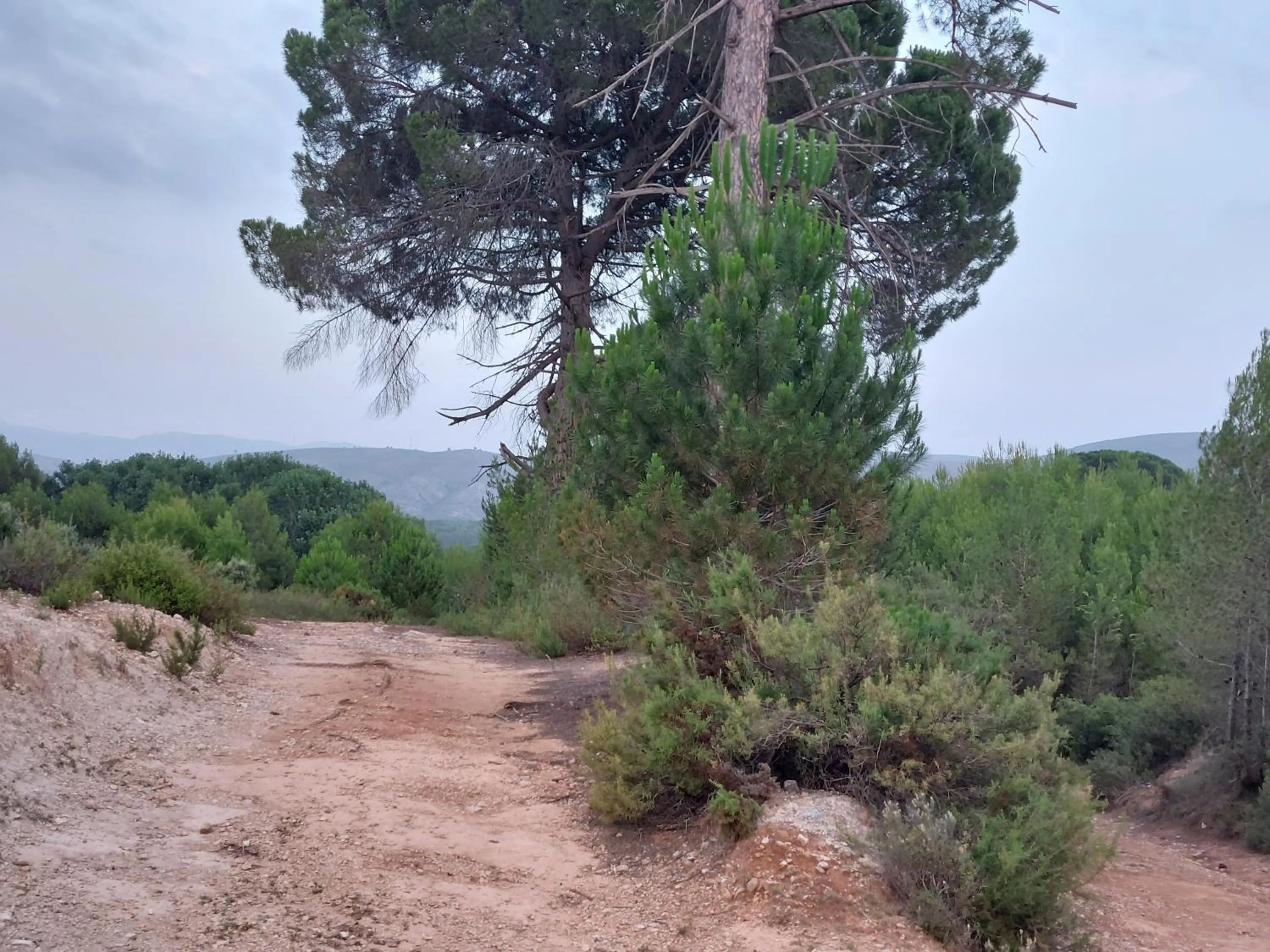 Natural landscape in B&B Casa Josa