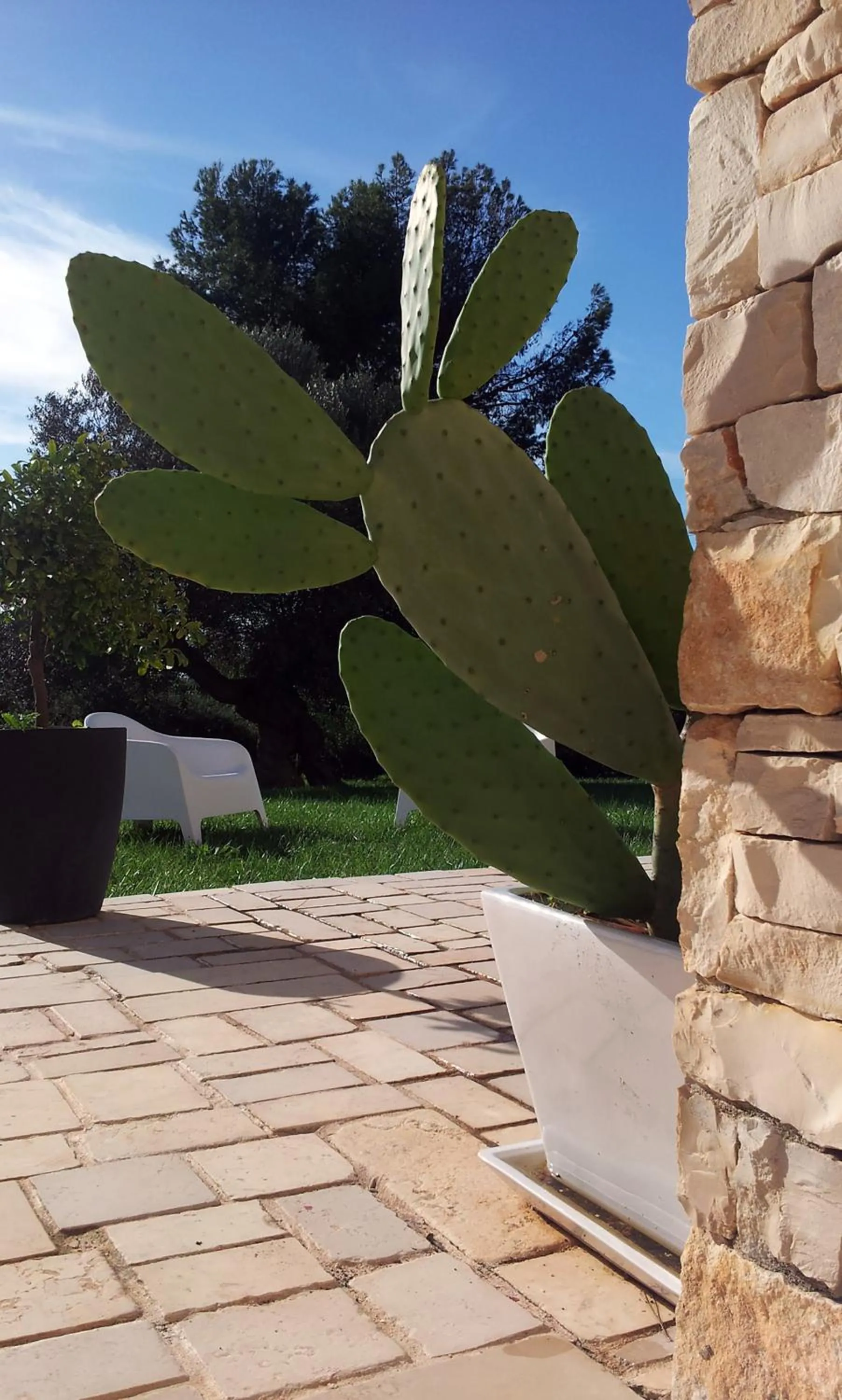 Facade/entrance in Mazzara Farm