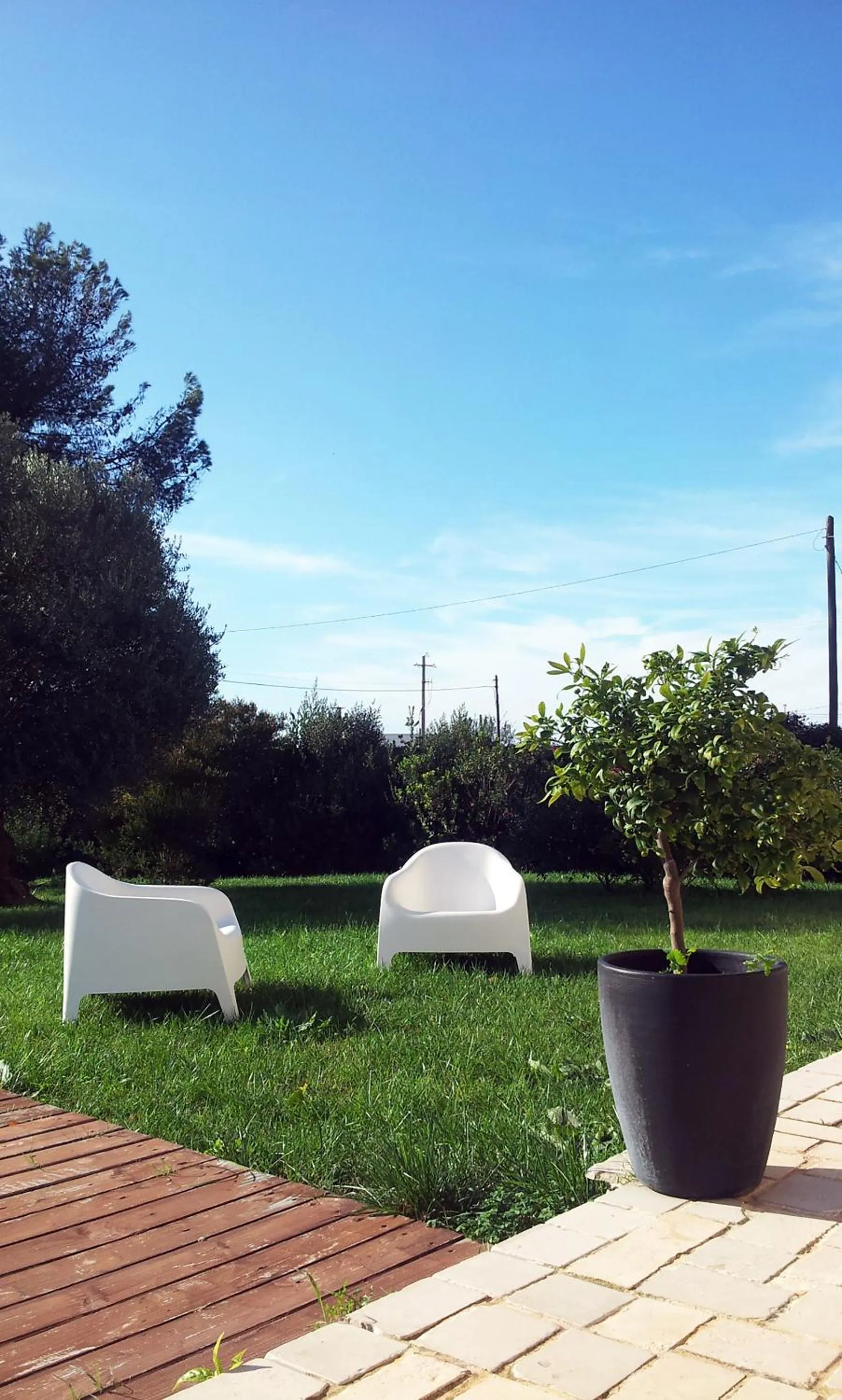 Garden in Mazzara Farm