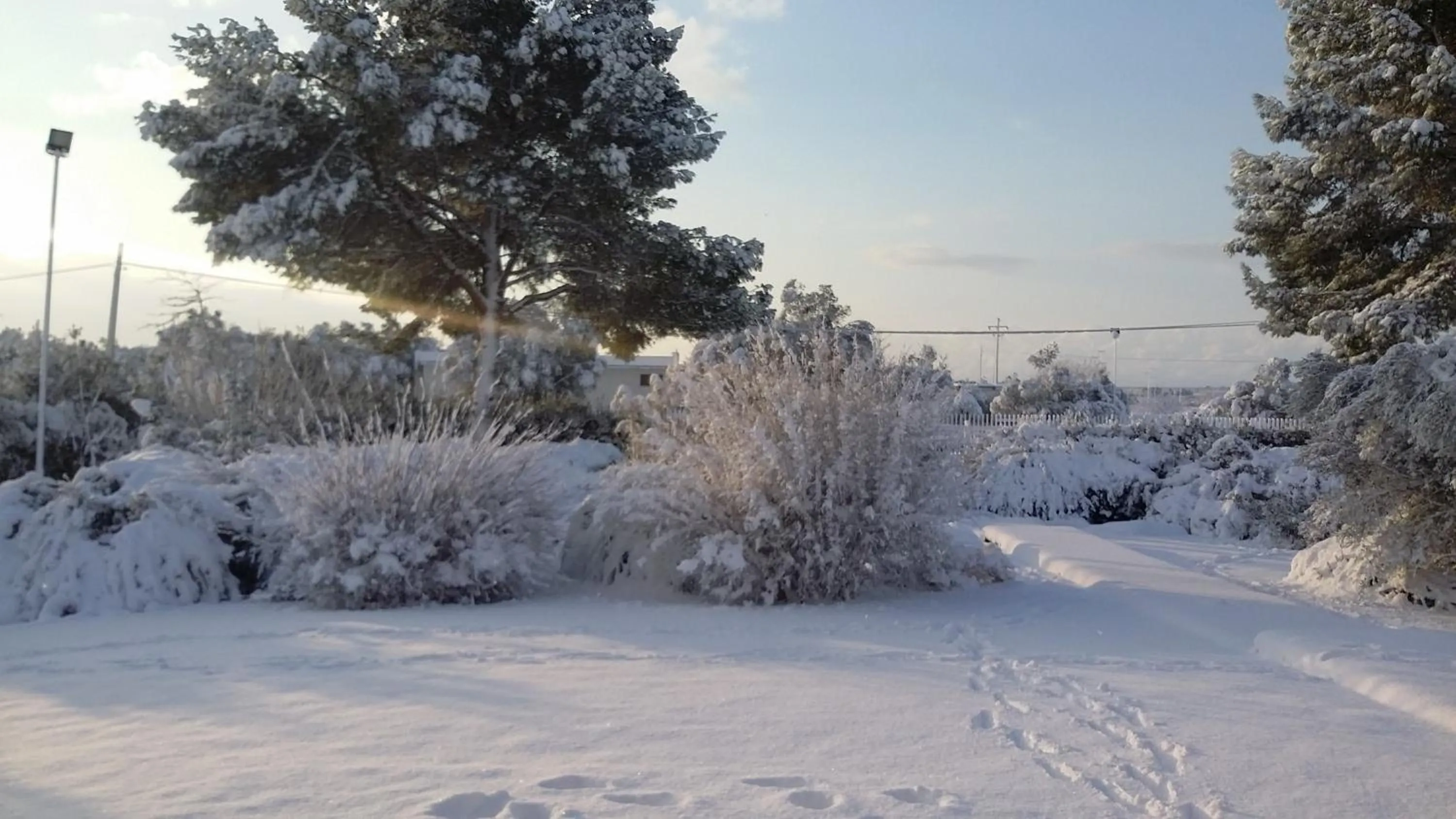 Garden in Mazzara Farm