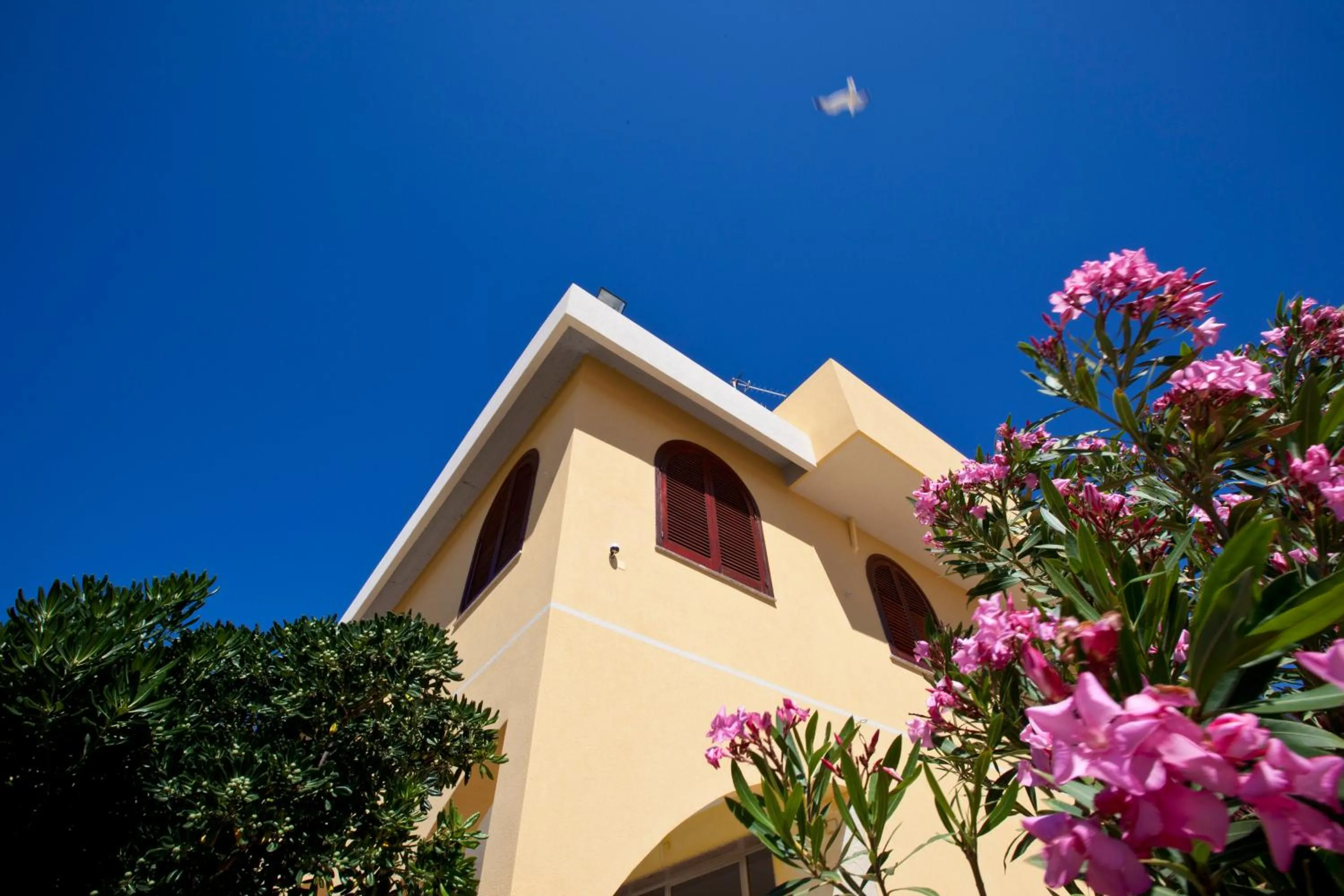 Facade/entrance in Orlando Vacanze Camere