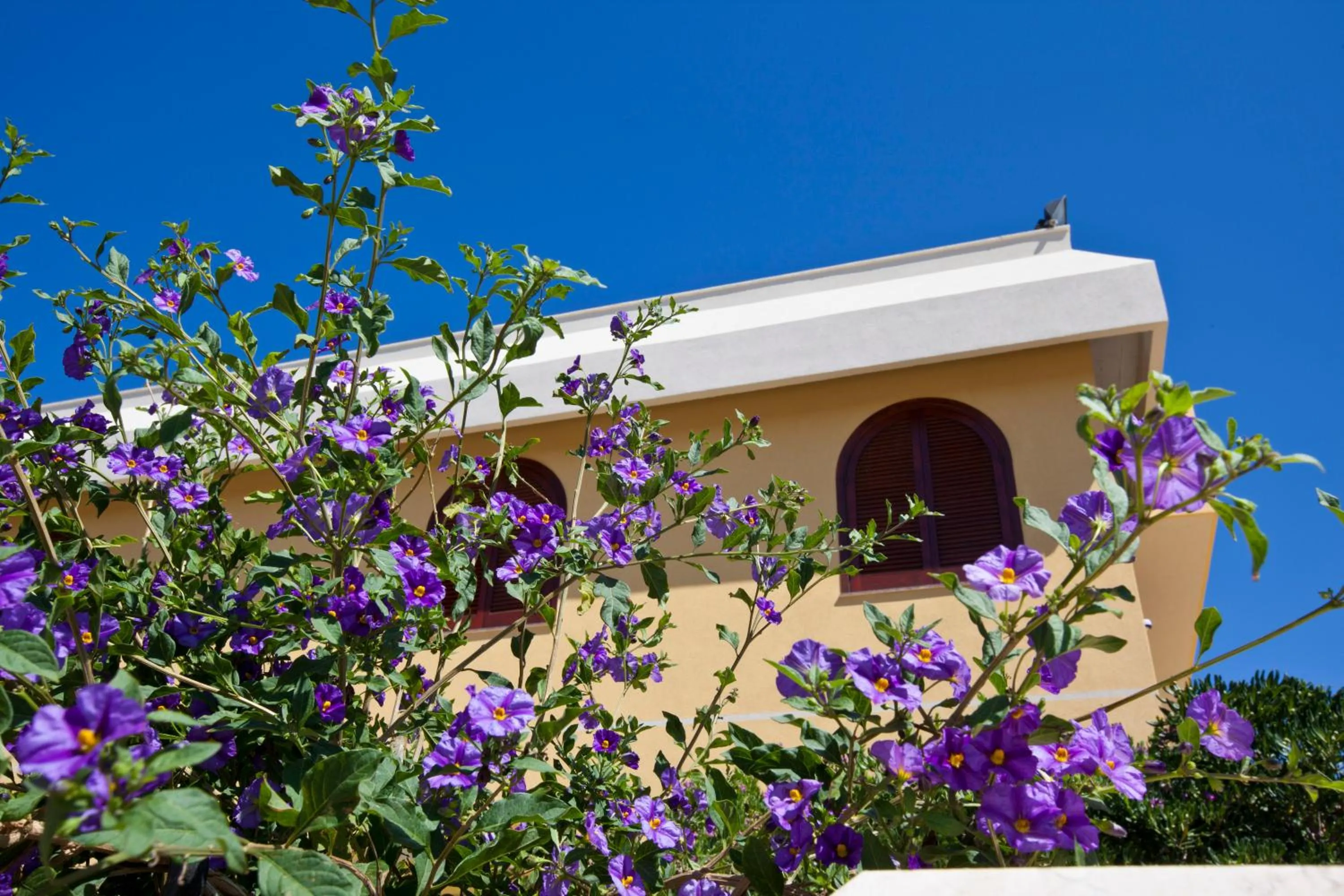 Facade/entrance in Orlando Vacanze Camere