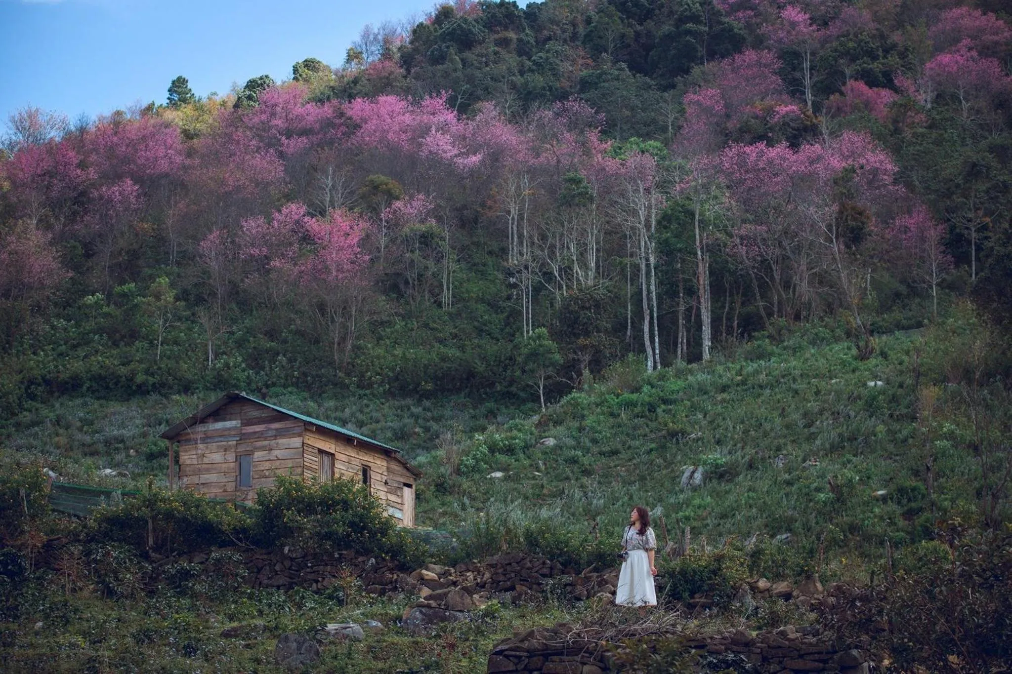 Natural landscape in QA Hotel Dalat - City Centre