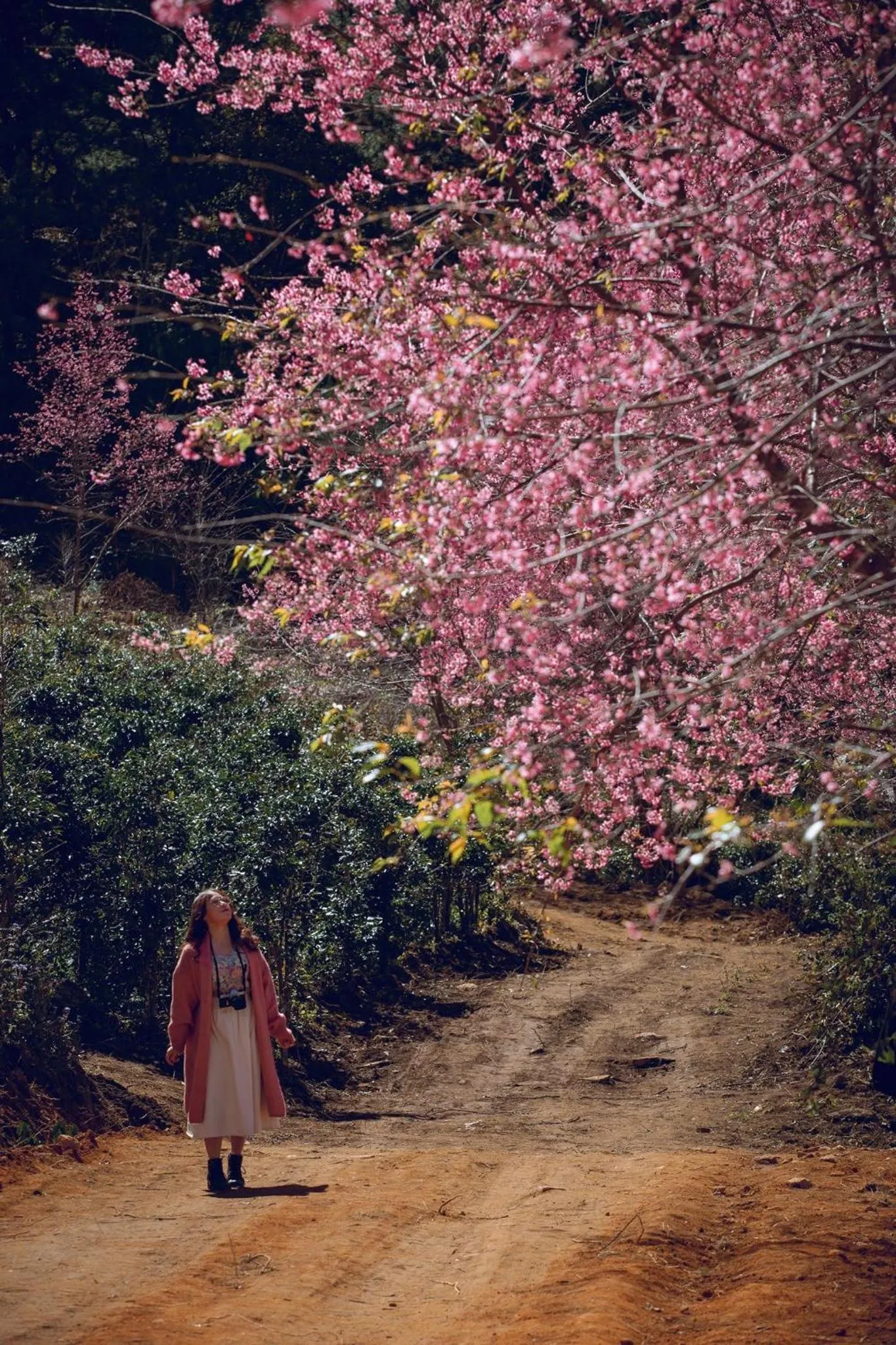 People in QA Hotel Dalat - City Centre