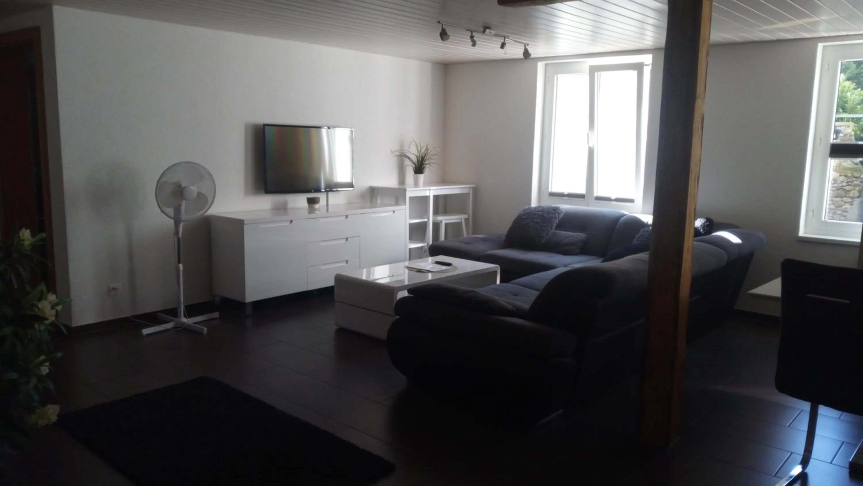 TV and multimedia in 3 Doppelbett Business Apartment am Bodensee