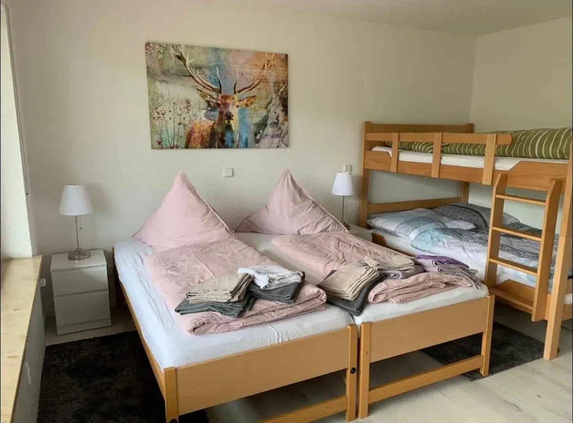 Haus am Sonnenberg,Todtnauberg, Ferienwohnung 105, direkt am Skilift-Skipiste, Nähe Feldberg Haus am Sonnenberg,Todtnauberg, Ferienwohnung 105, direkt am Skilift-Skipiste, Nähe Feldberg