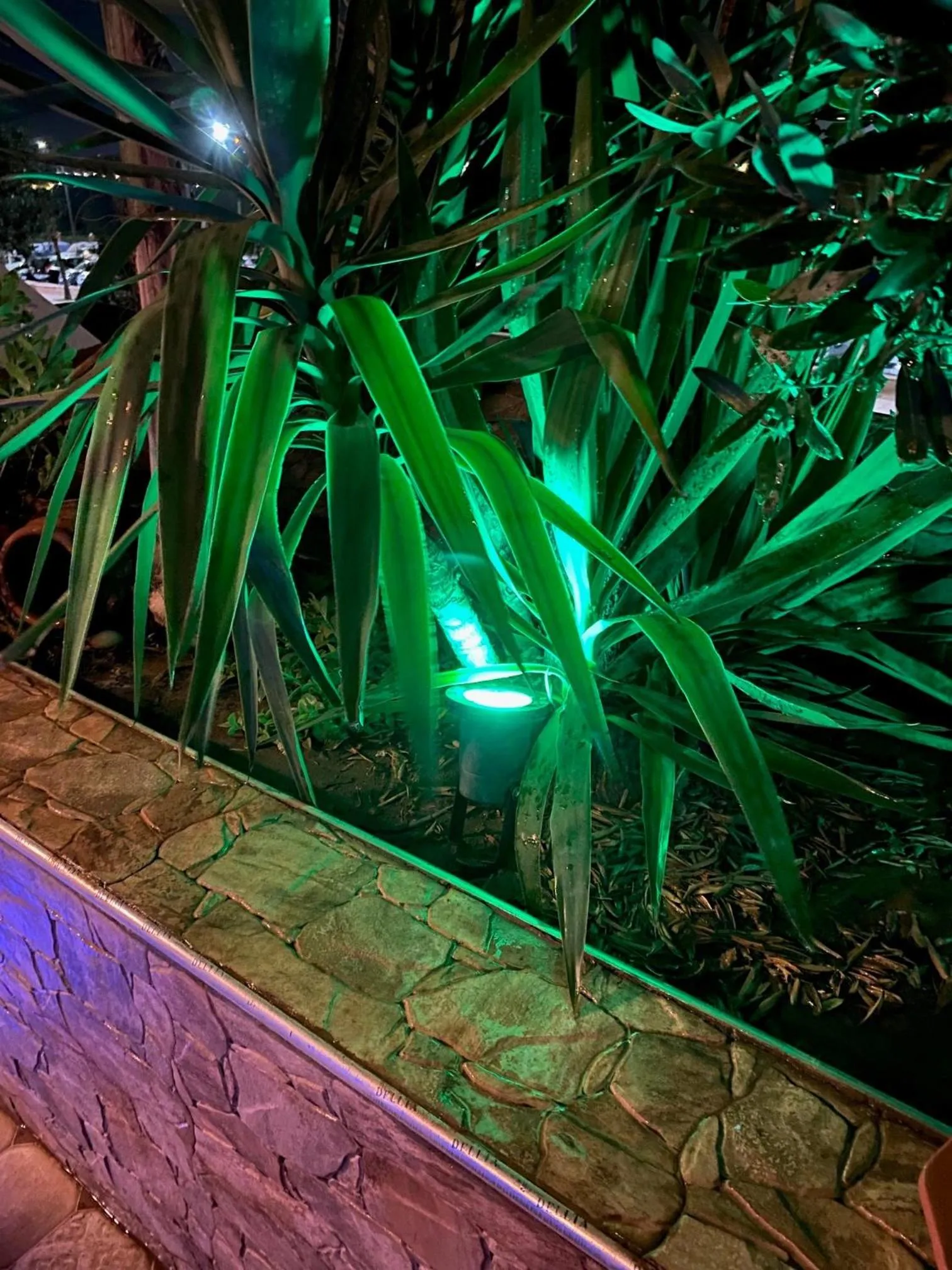 Patio in Riad Lalla Merieme