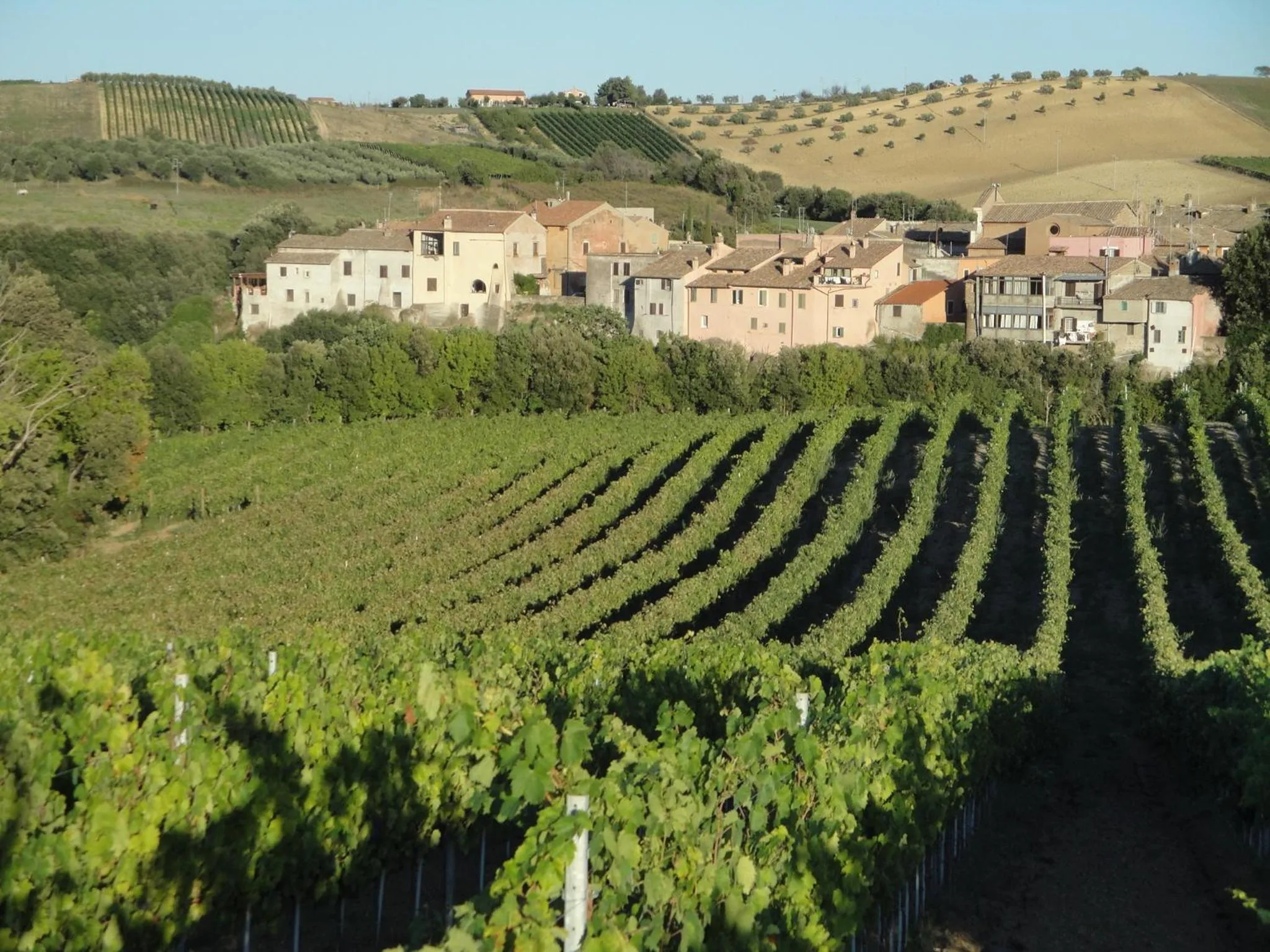 Agriturismo La Valle Di Ceri