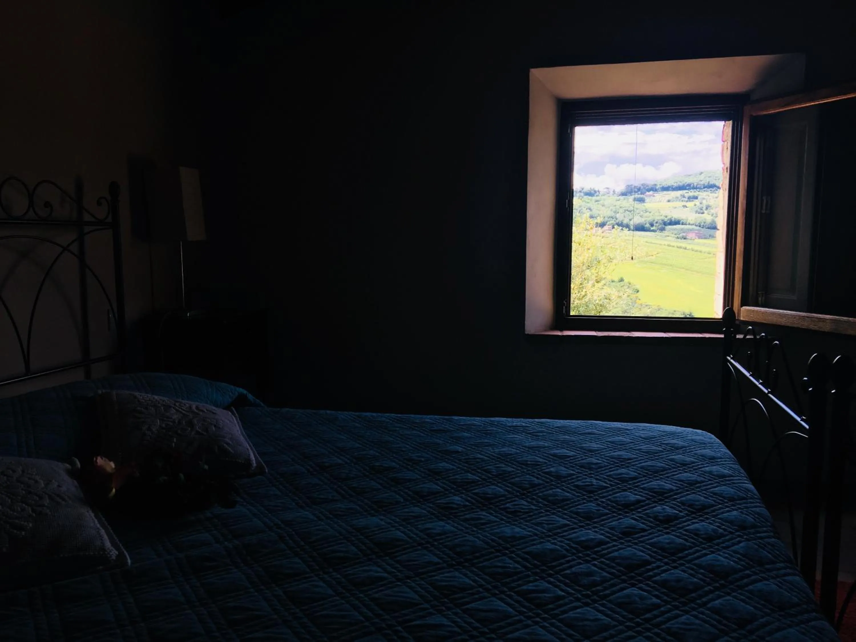 View (from property/room), Bed in Godiolo