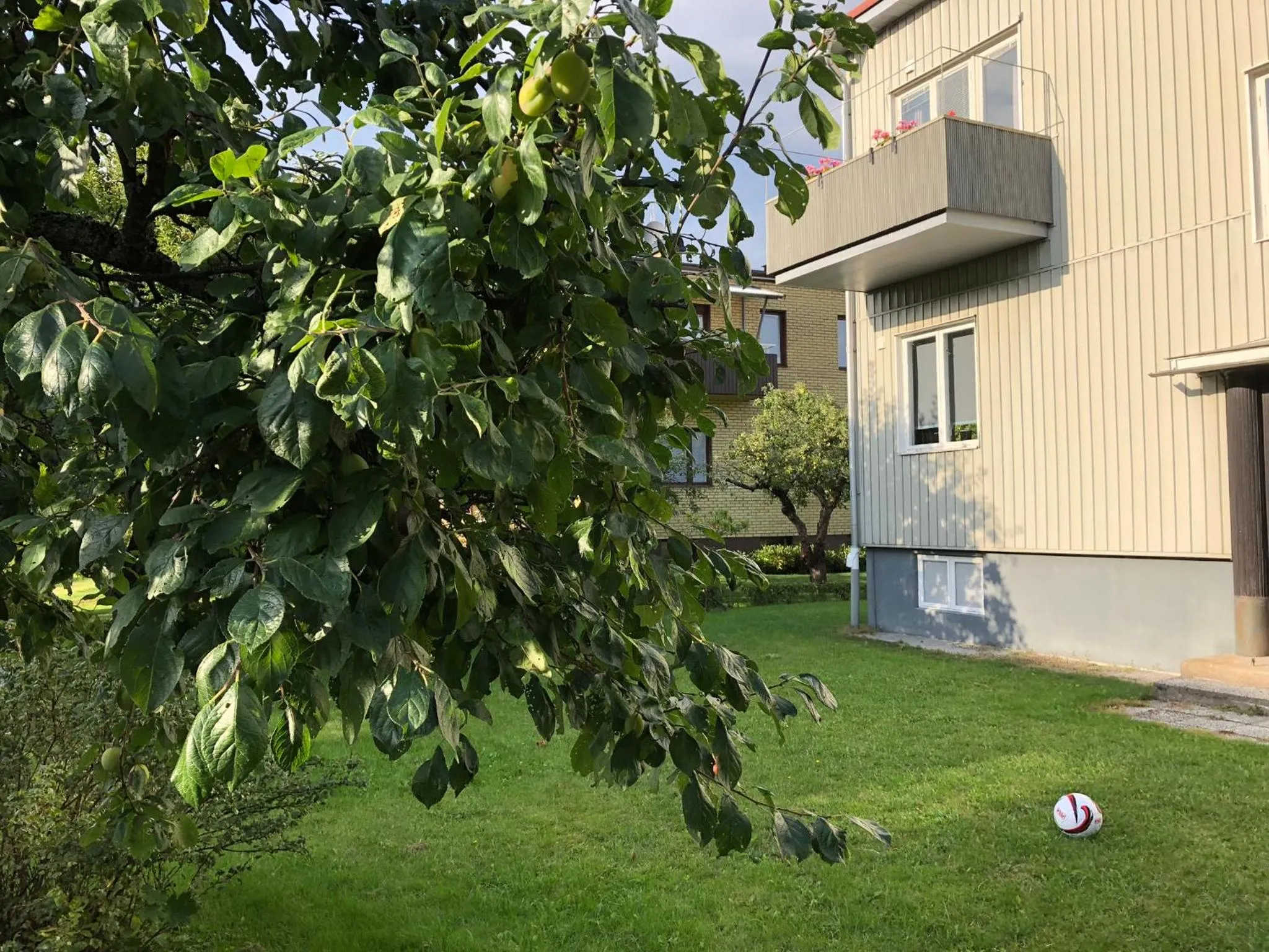 Garden in Strandgården Karlstad