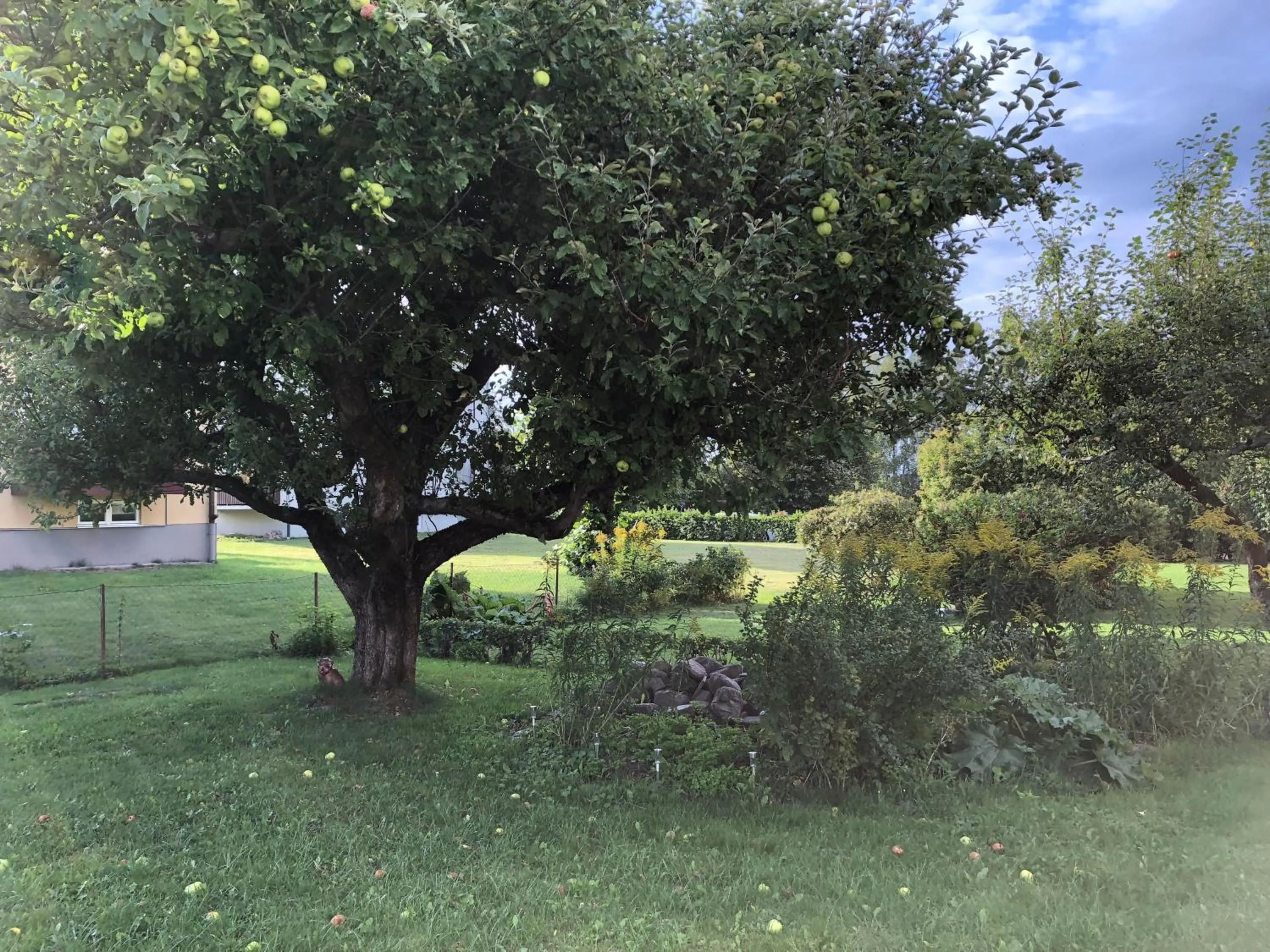Garden in Strandgården Karlstad