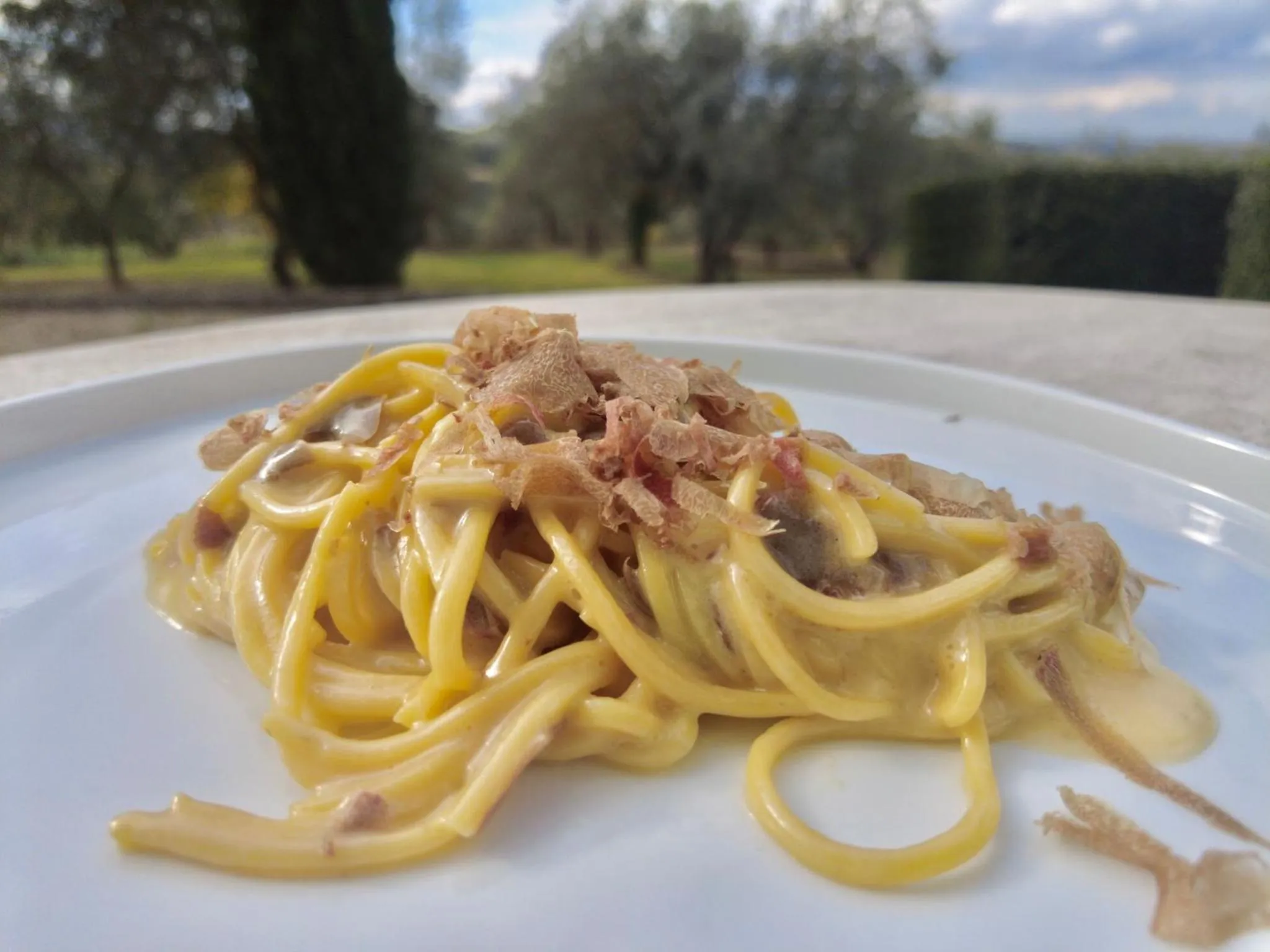 Restaurant/places to eat in Tenuta Di Sticciano