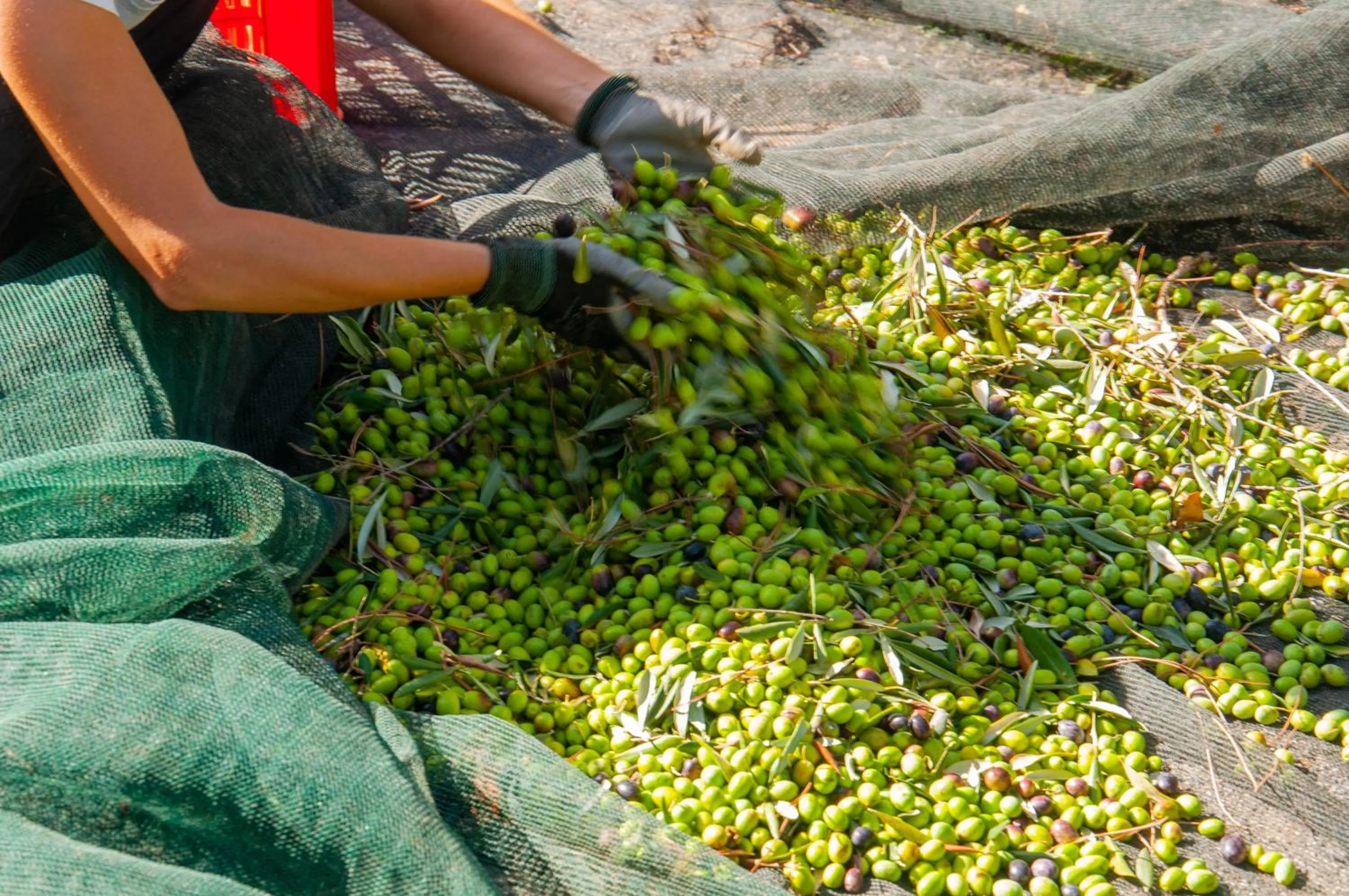 Autumn in Tenuta Di Sticciano