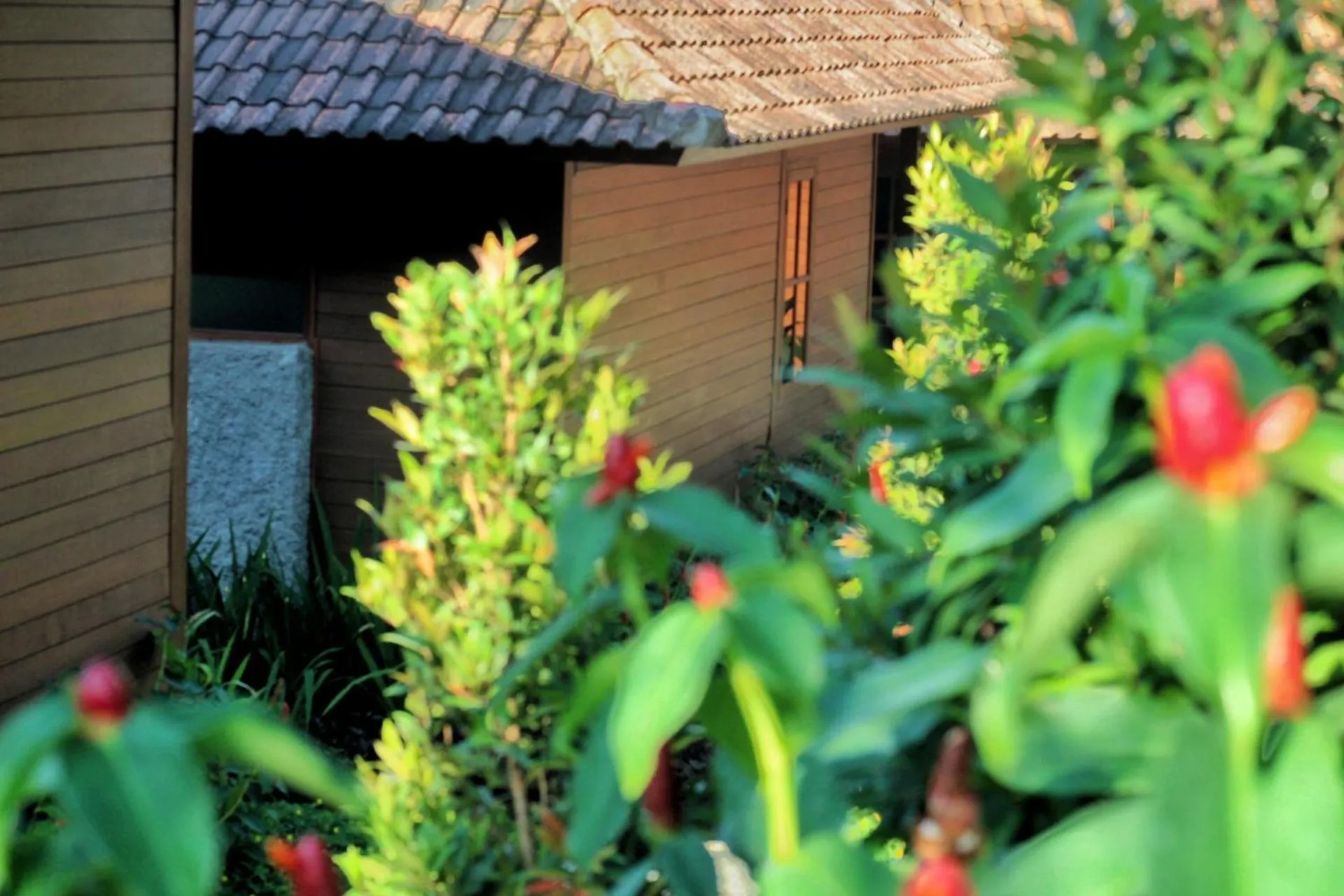 Garden in Villa Waturenggong Ubud