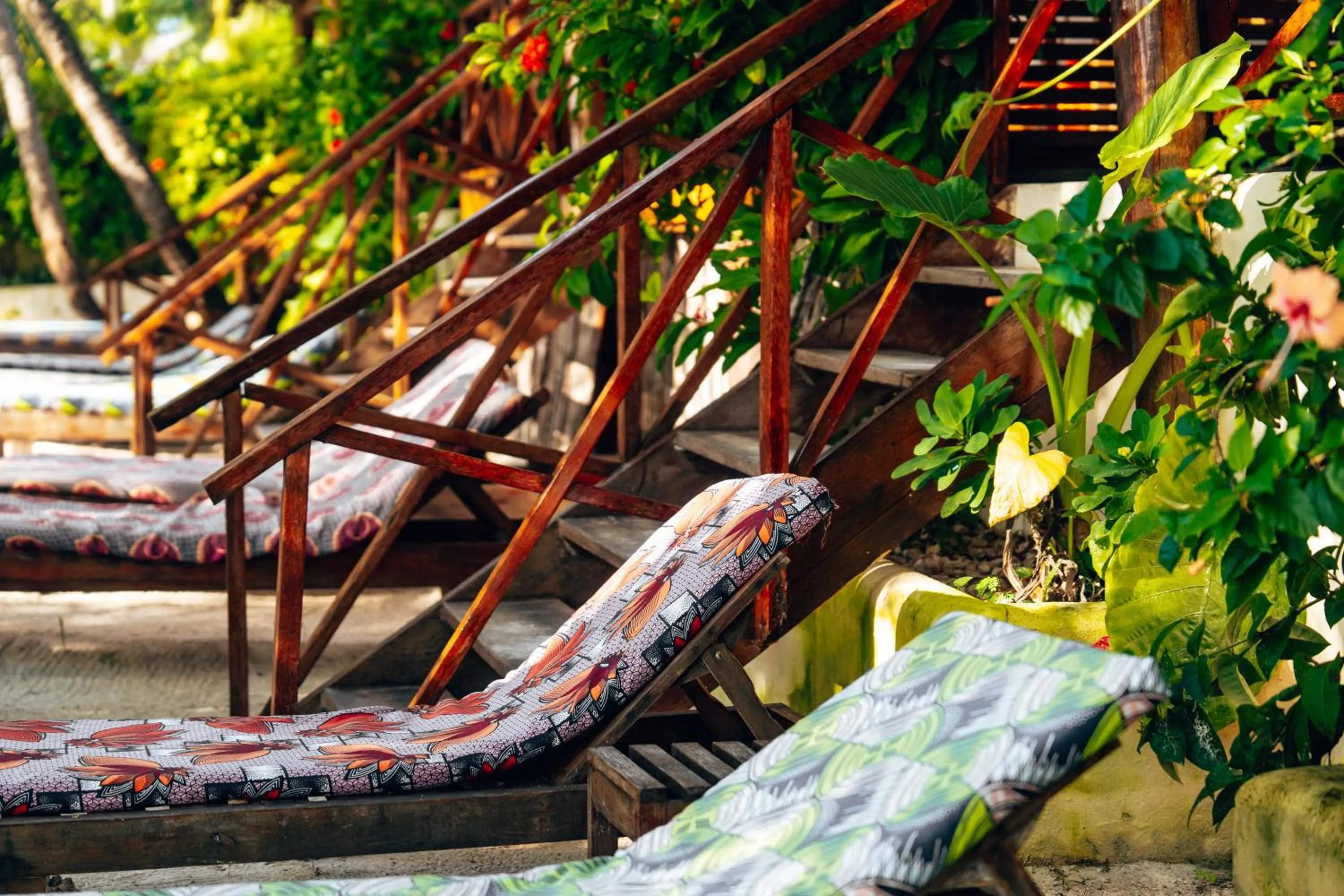 Garden in Hekaya Zanzibar