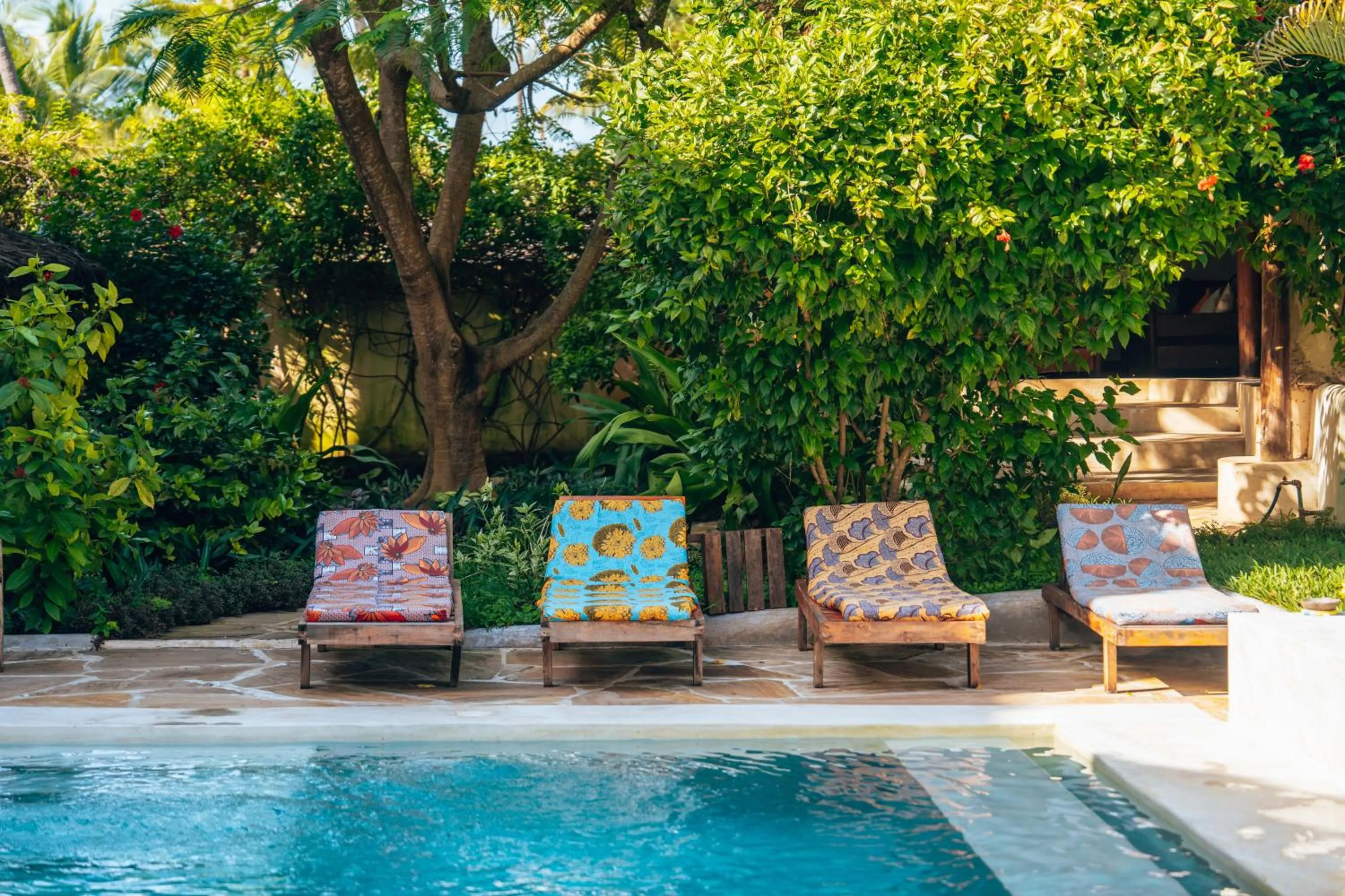 Garden in Hekaya Zanzibar