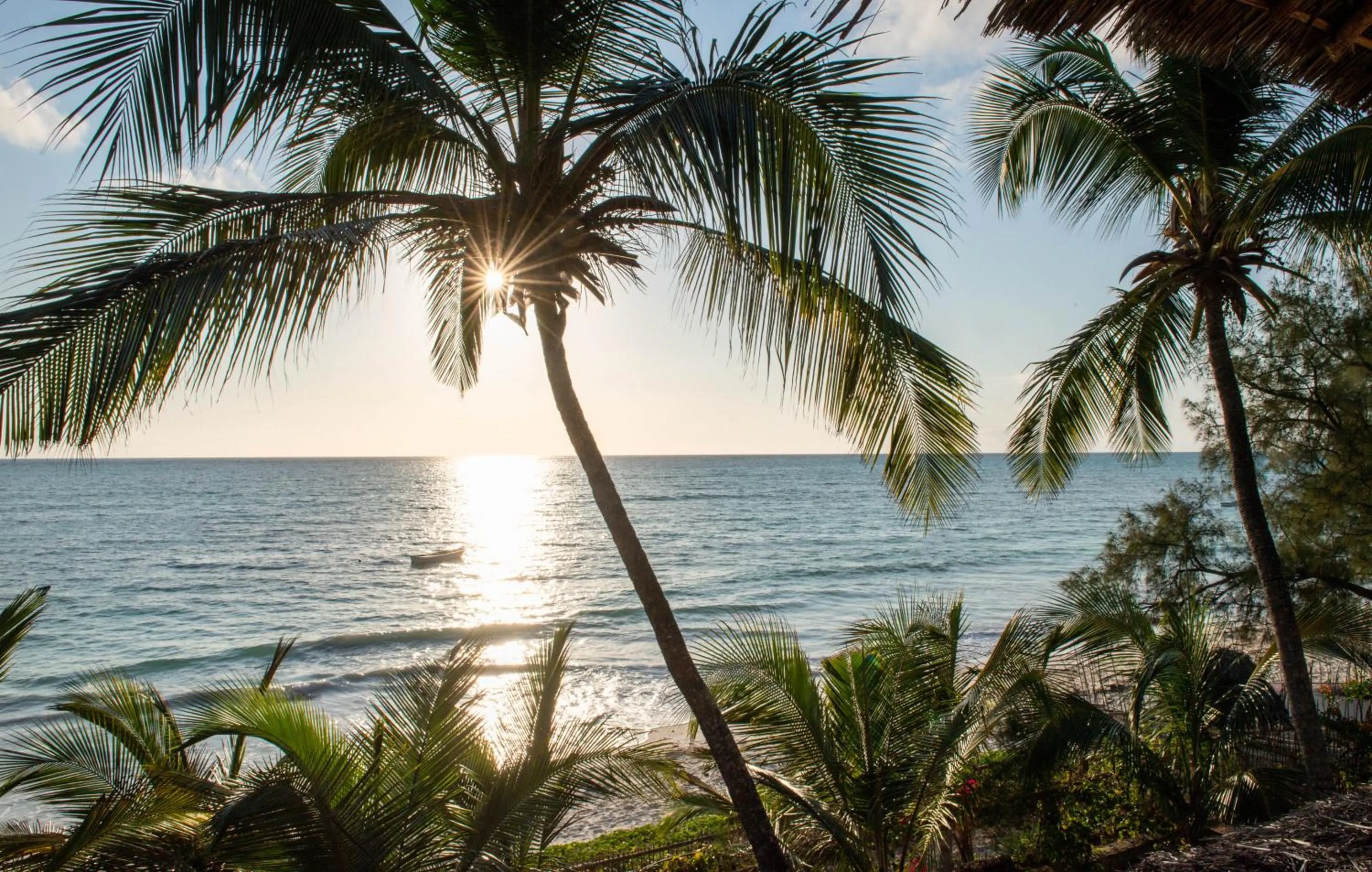 Beach in Hekaya Zanzibar