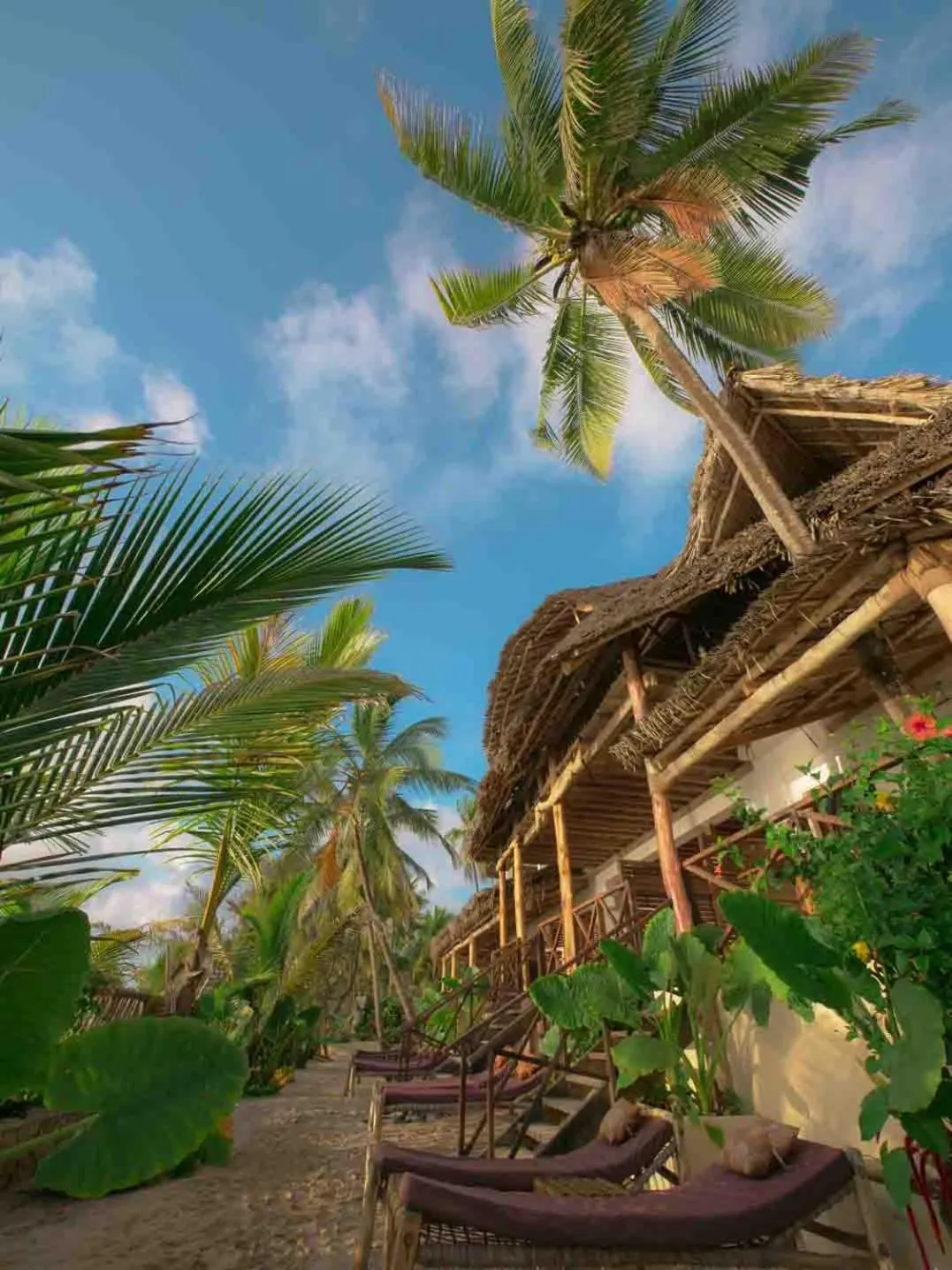 Beach in Hekaya Zanzibar