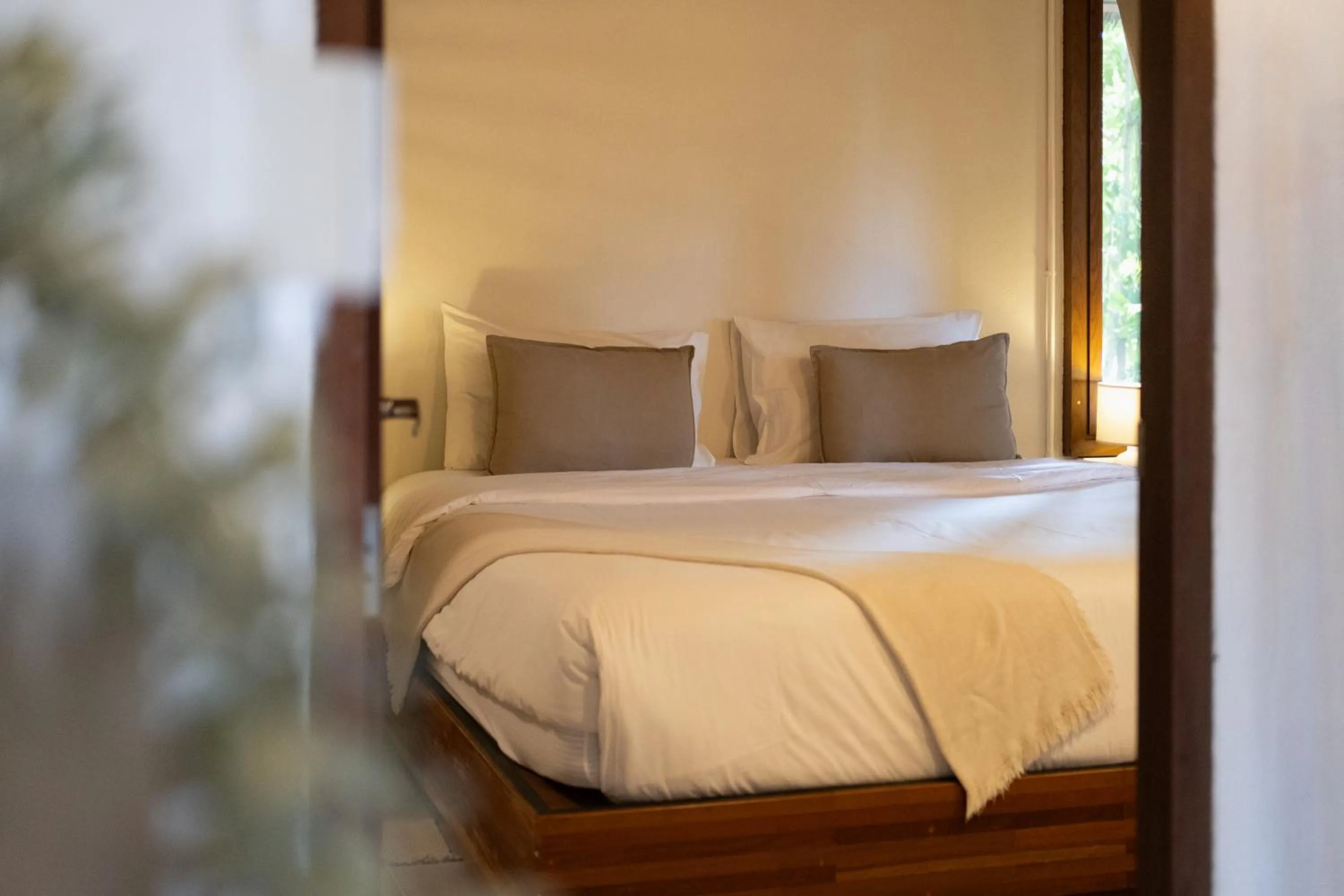 Photo of the whole room, Bed in Big Tree Boutique Hotel