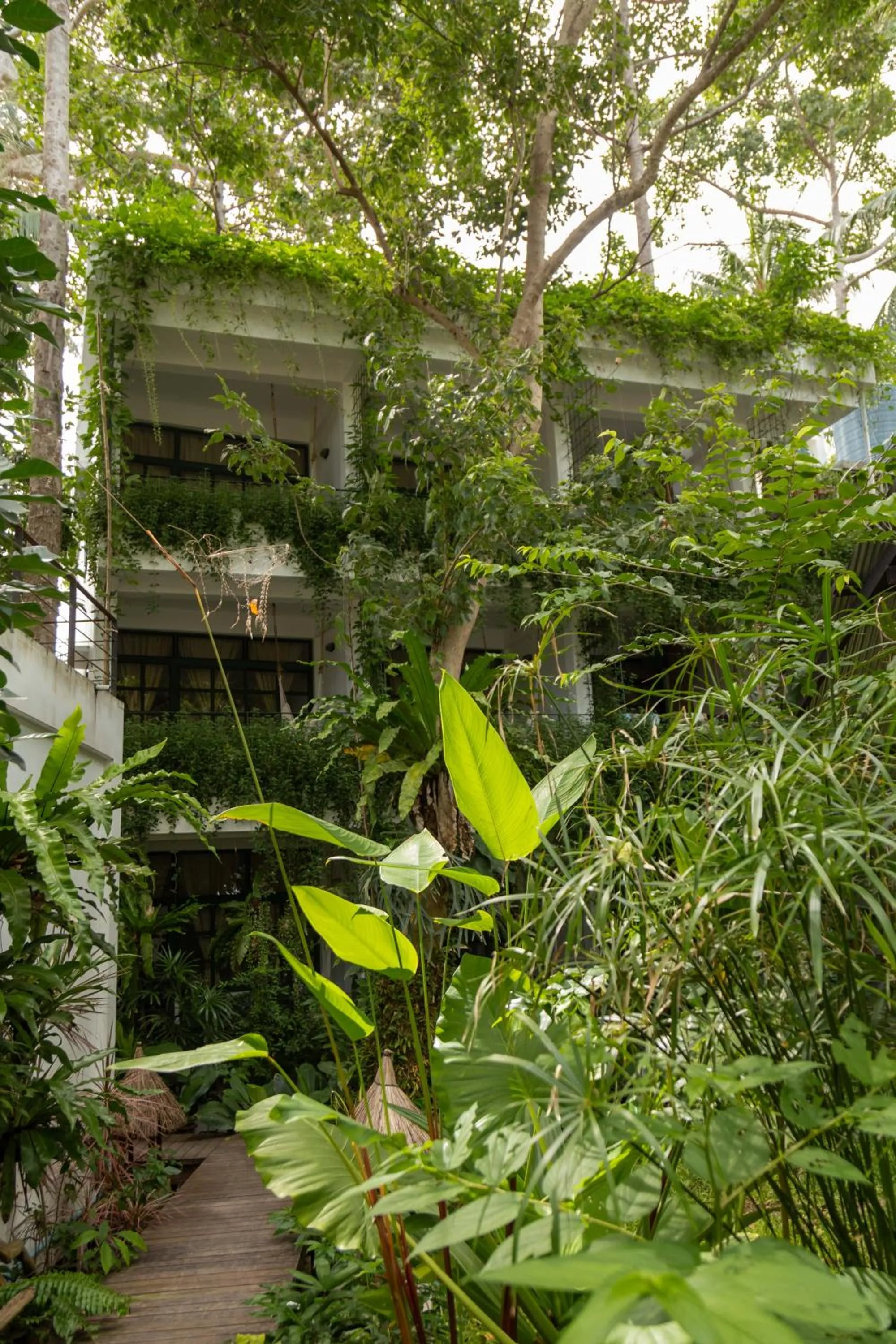 Property building in Big Tree Boutique Hotel