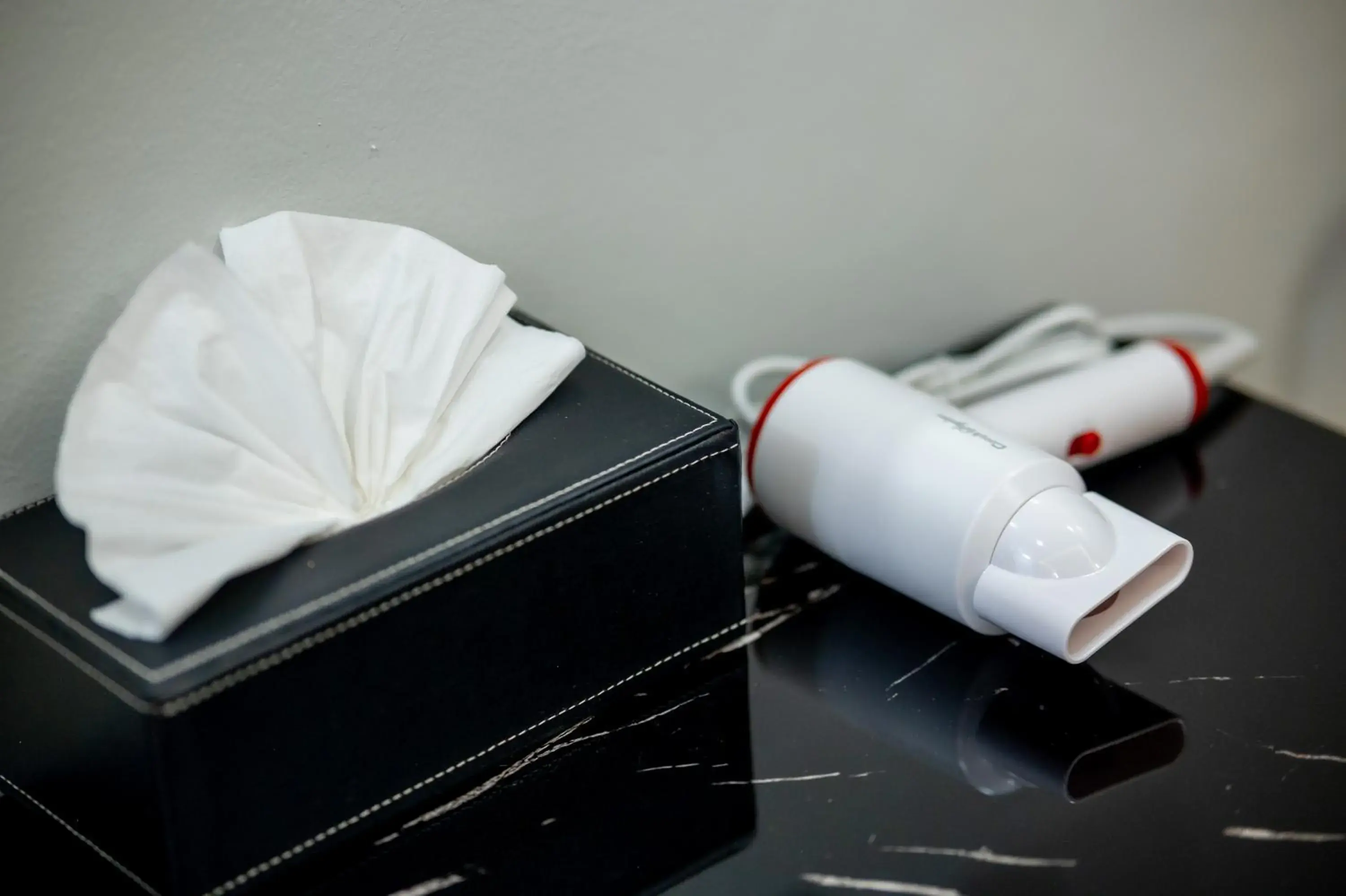 hair dryier in TOBEDzZ HOTEL hair dryier in TOBEDzZ HOTEL